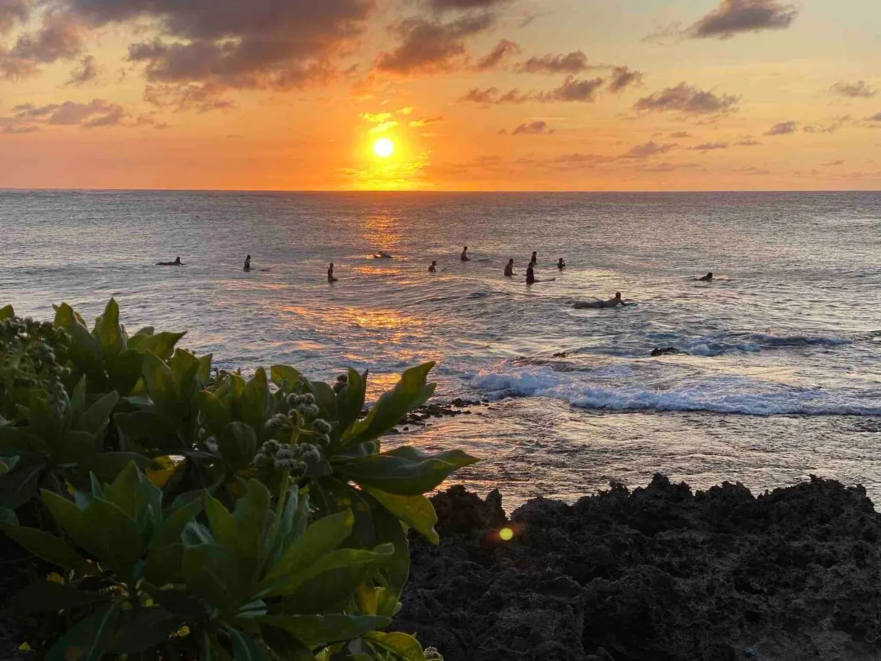 New! North Shore Surf House Walk to the beach! 12