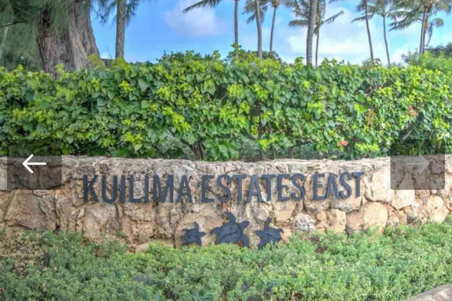 New! North Shore Surf House Walk to the beach! 14