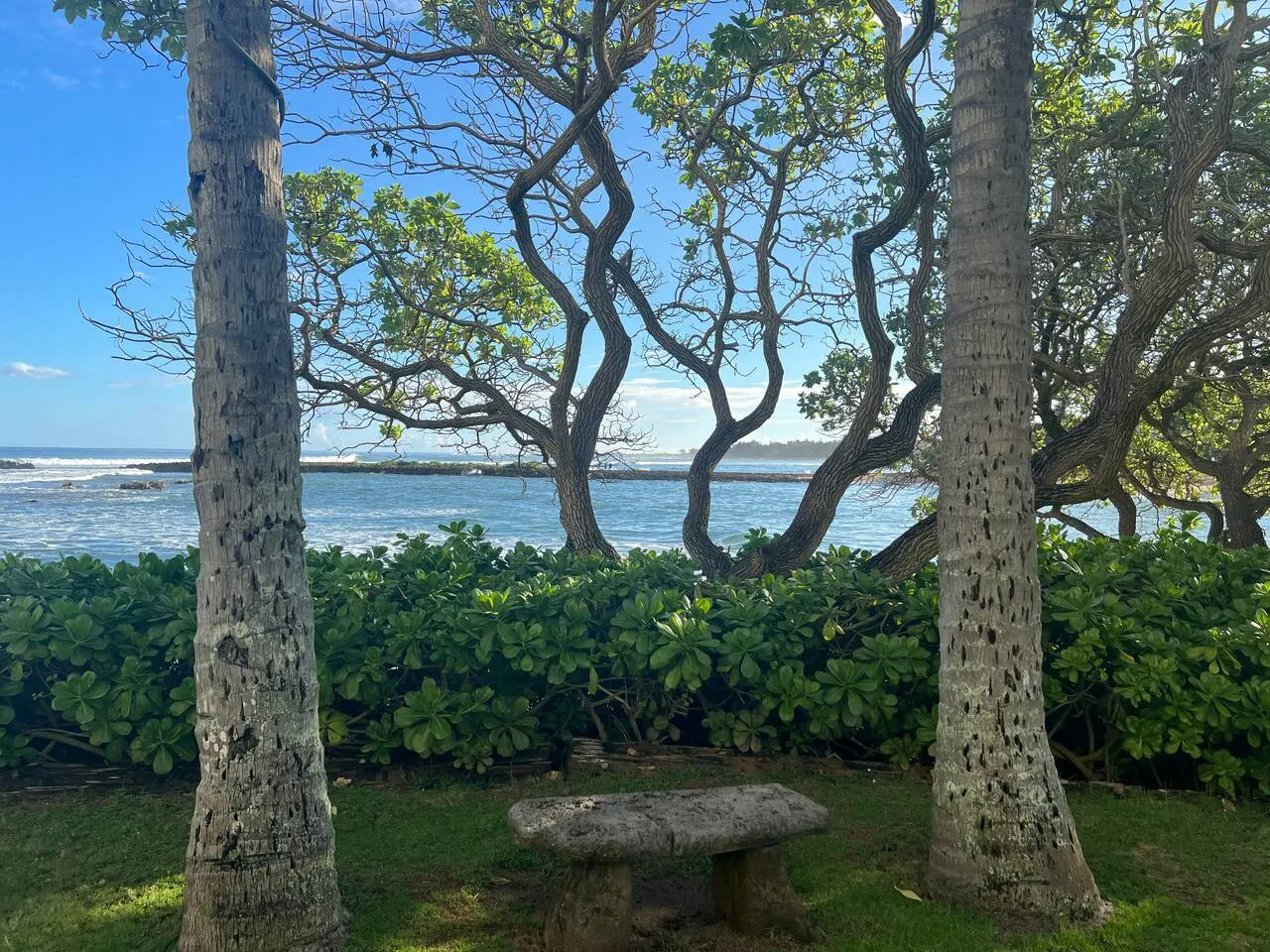 New! North Shore Surf House Walk to the beach! 16