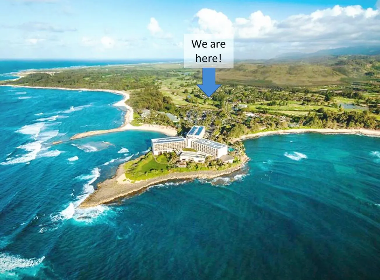 New! North Shore Surf House Walk to the beach! 3