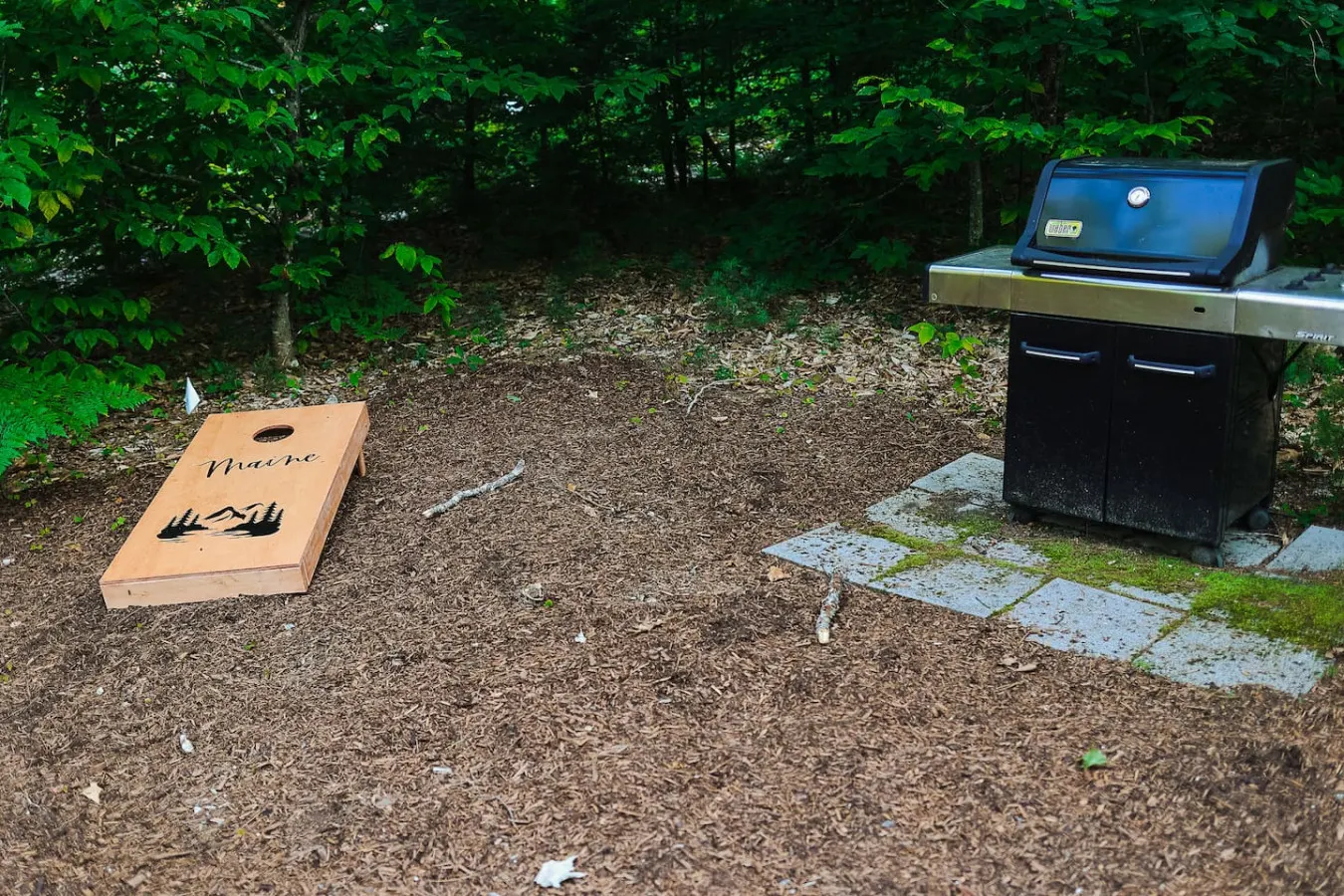 Nut House Access on Woods Pond Bridgton 12