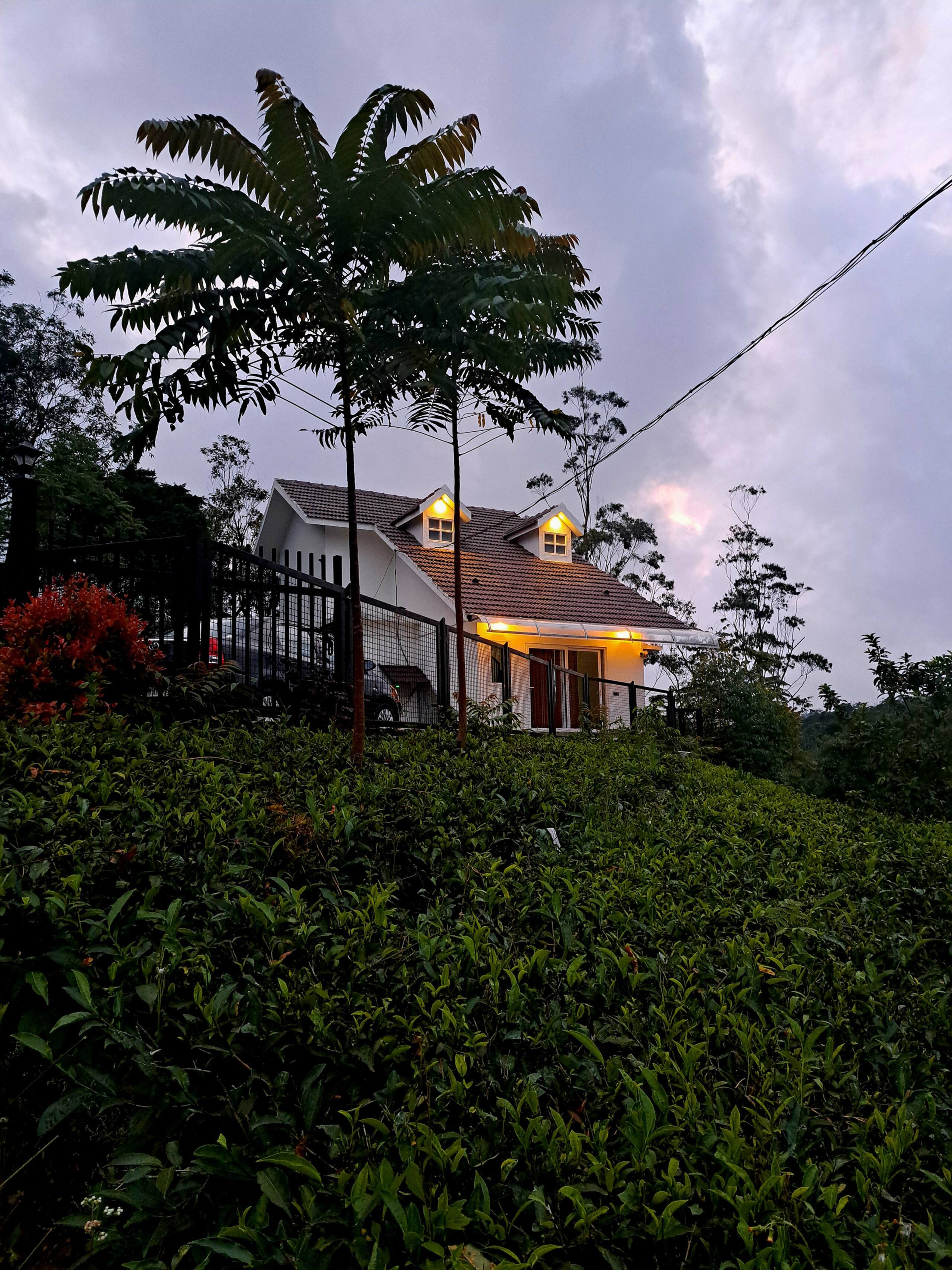The Placid Rill Cottage 38