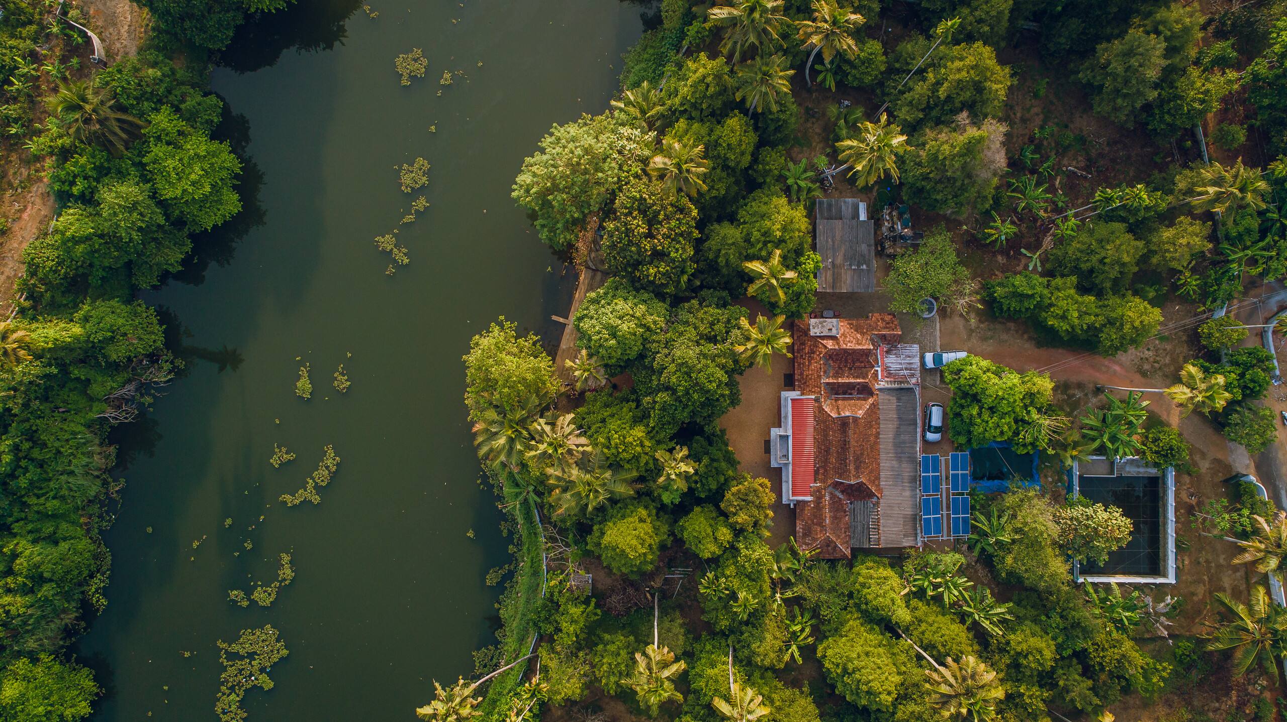 Meenachil Creek Homestay 35