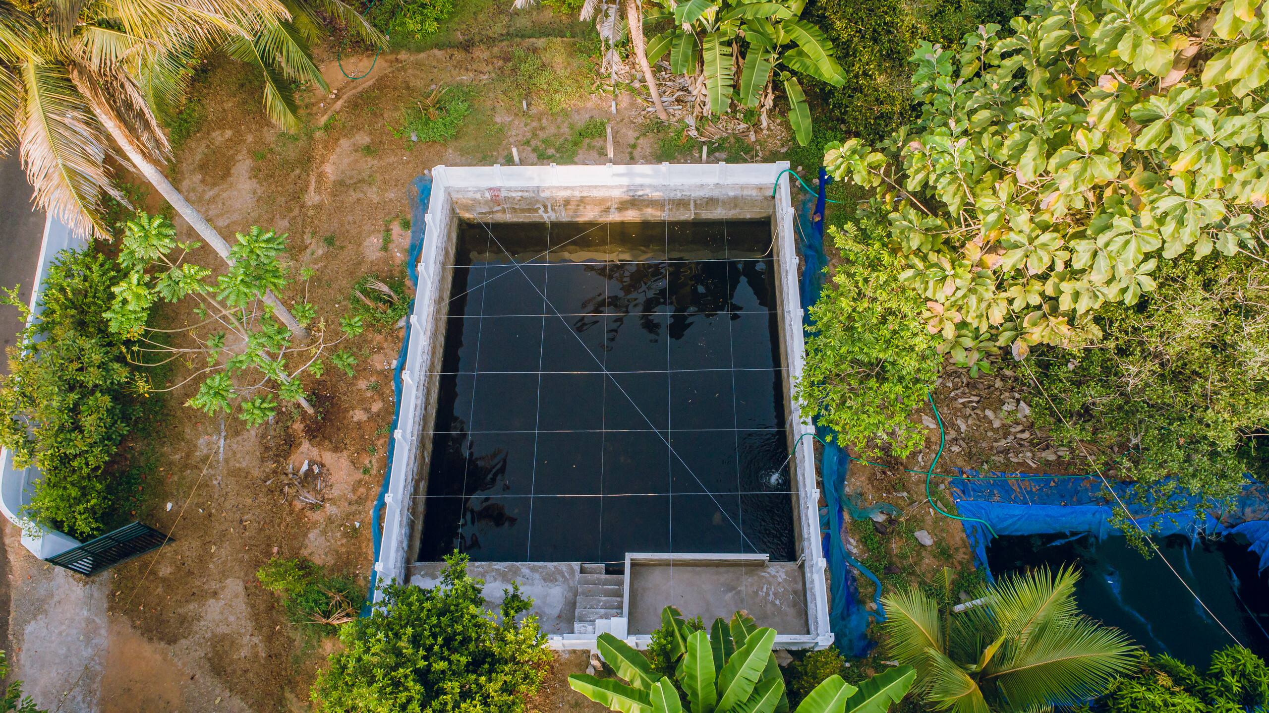 Meenachil Creek Homestay 31