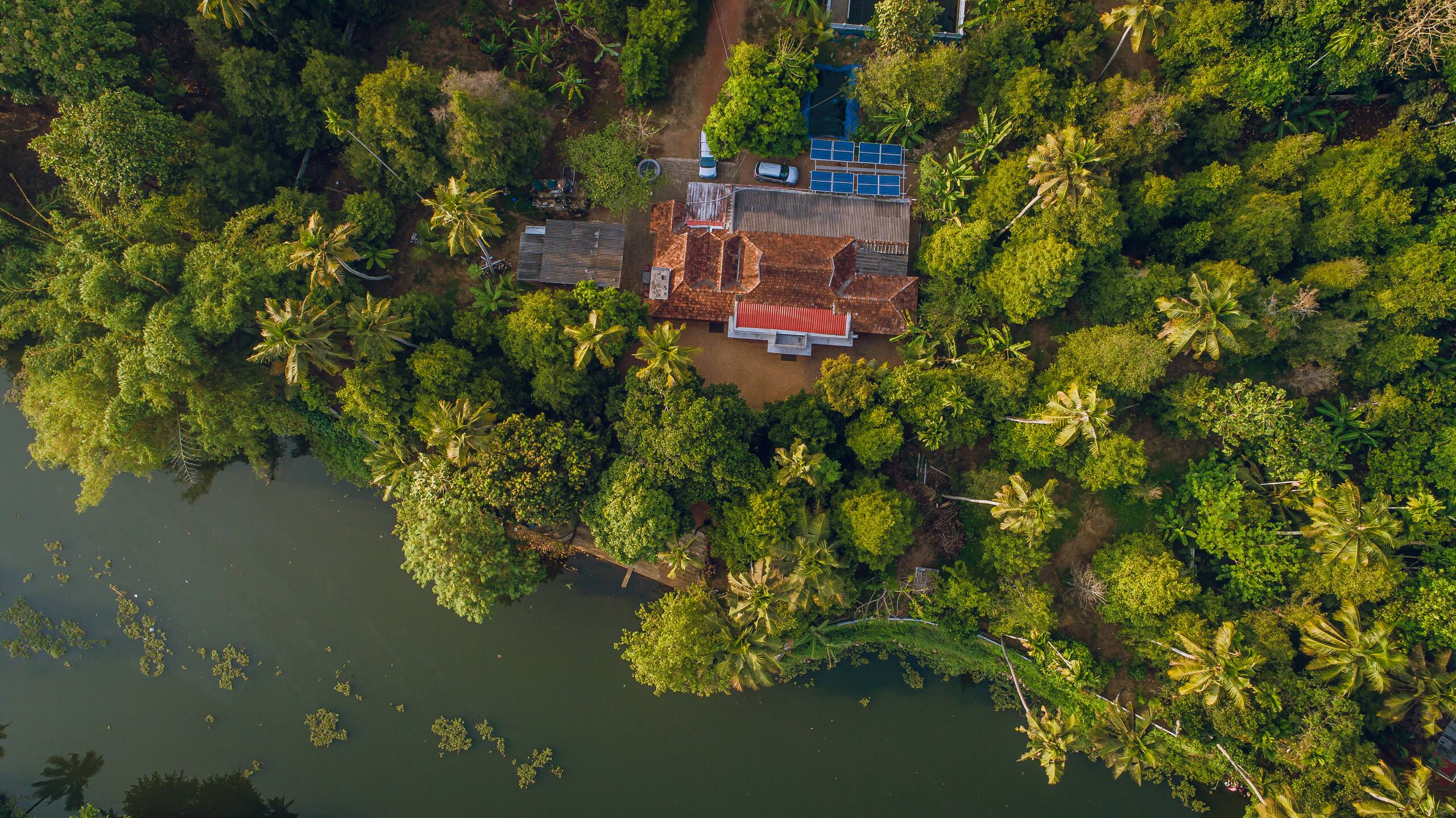 Meenachil Creek Homestay 38
