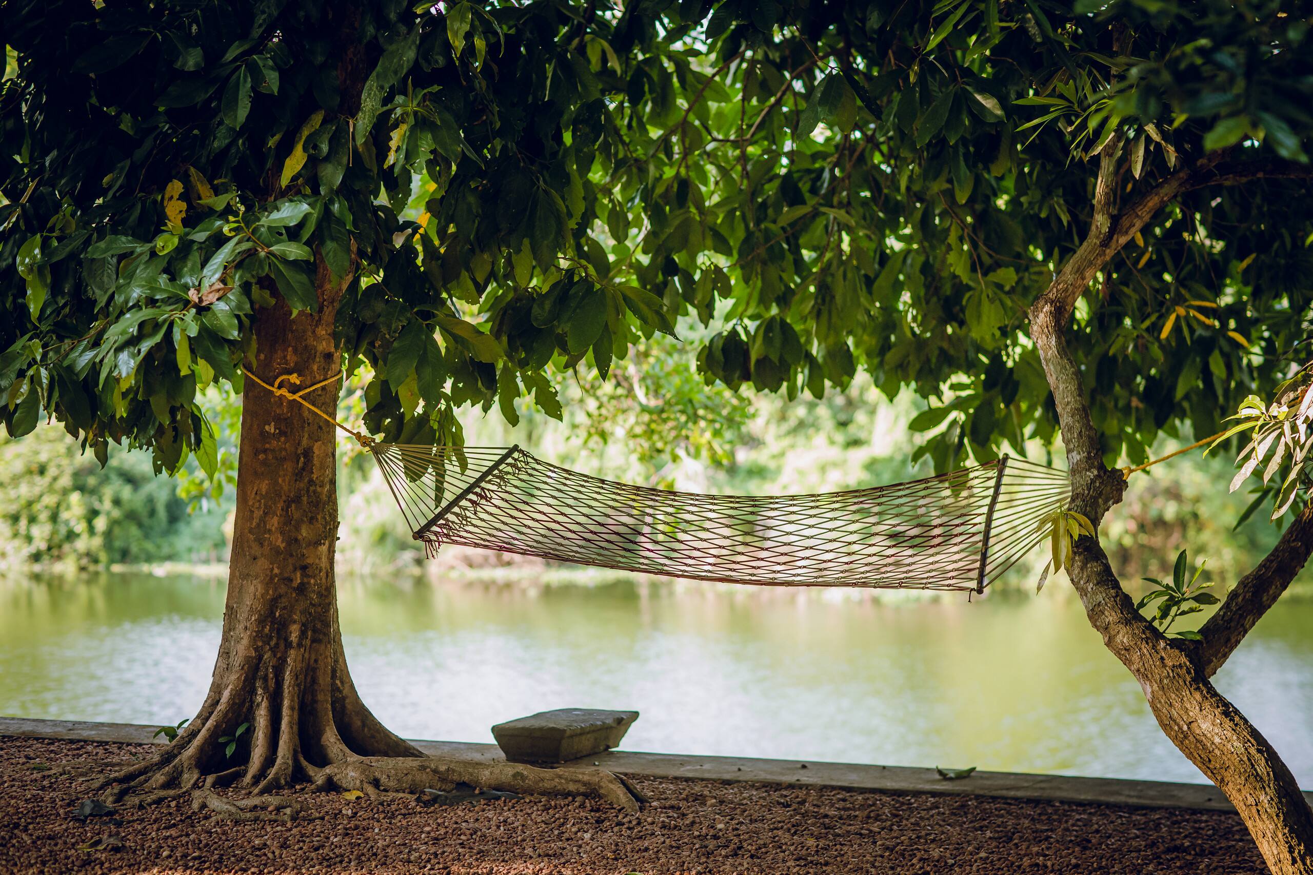 Meenachil Creek Homestay 27