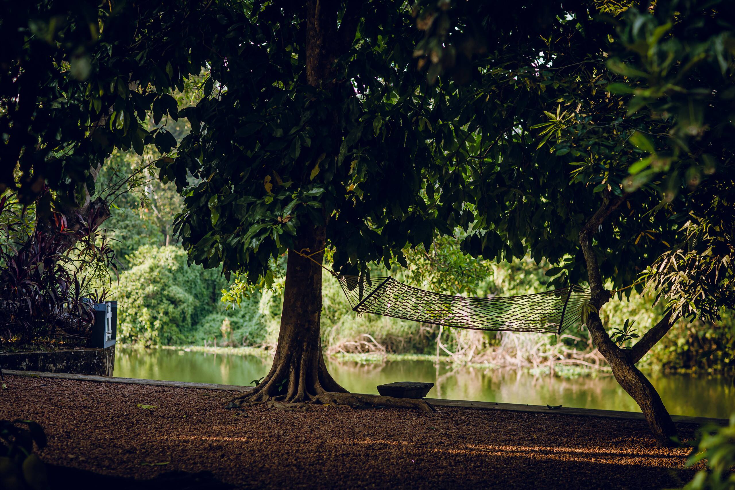 Meenachil Creek Homestay 3