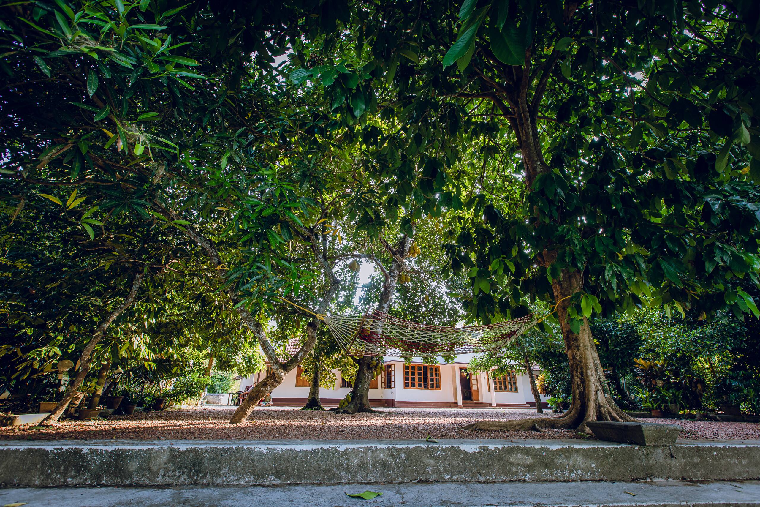 Meenachil Creek Homestay 40