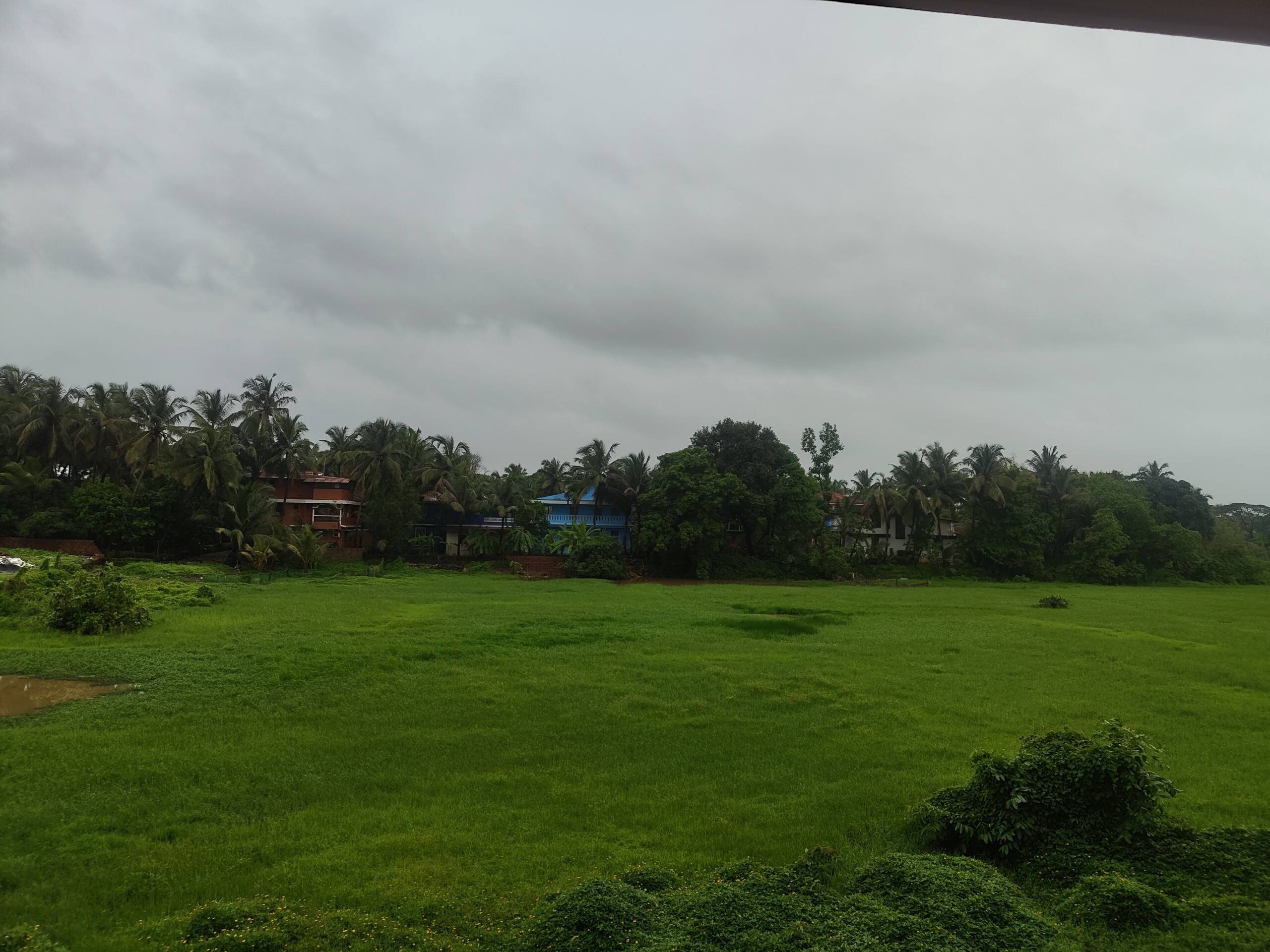 Tropical 3BHK Pool Pad • Varca 30