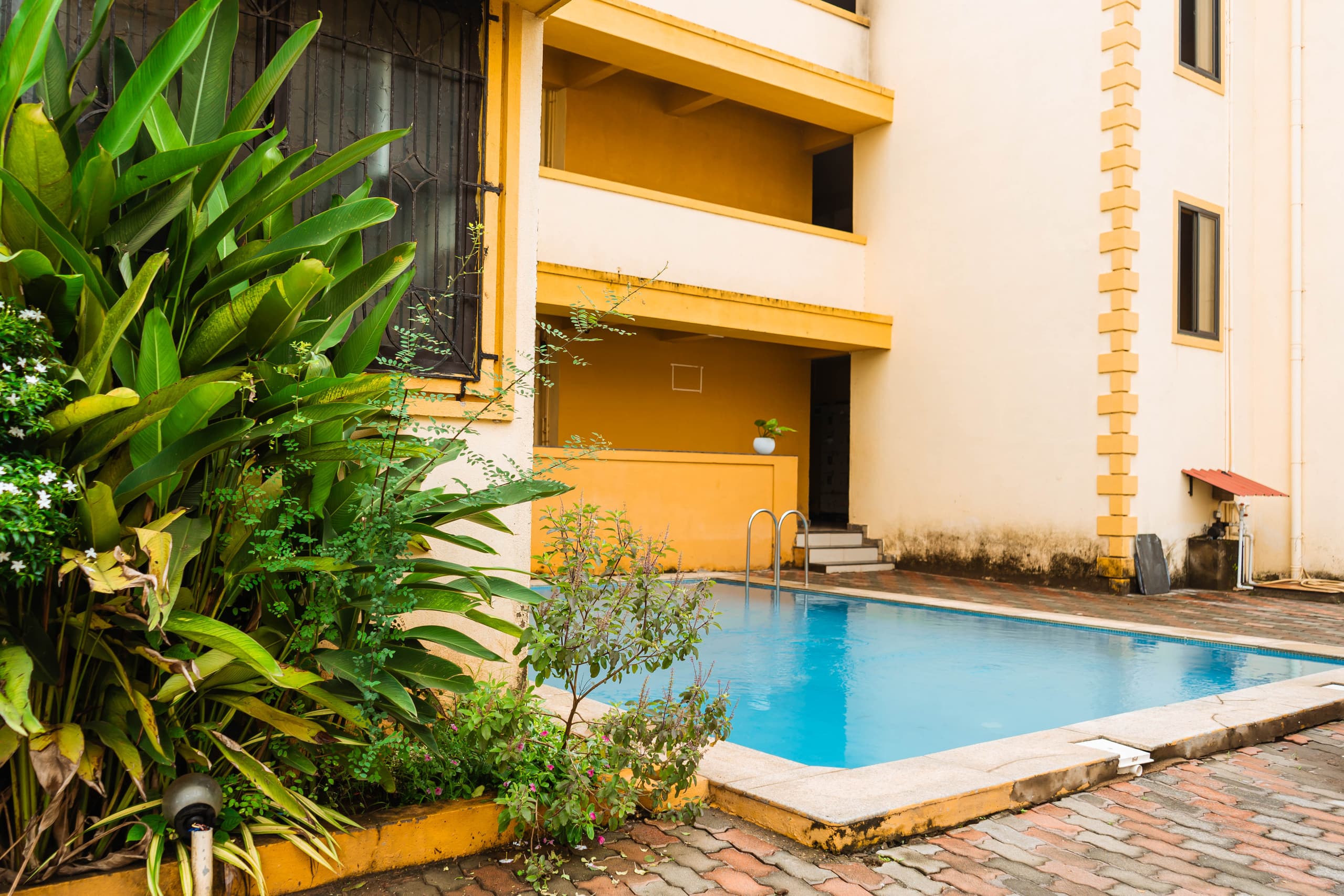 Tropical 3BHK Pool Pad • Varca — photo 5