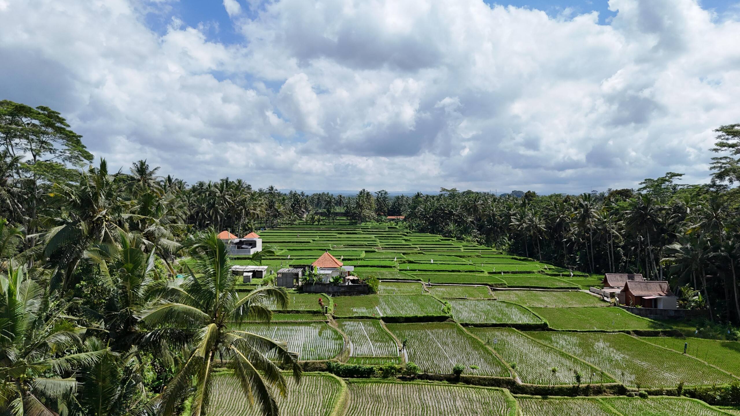 Romantic 1BR in Ubud with Pool + Free Massage” 29