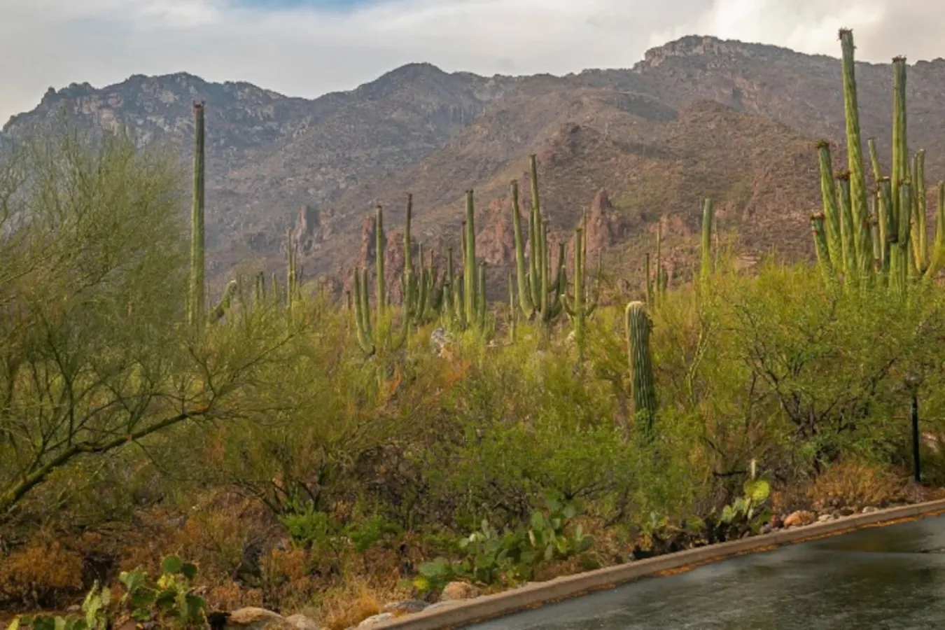 La Casa at Canyon View -Ventana 20