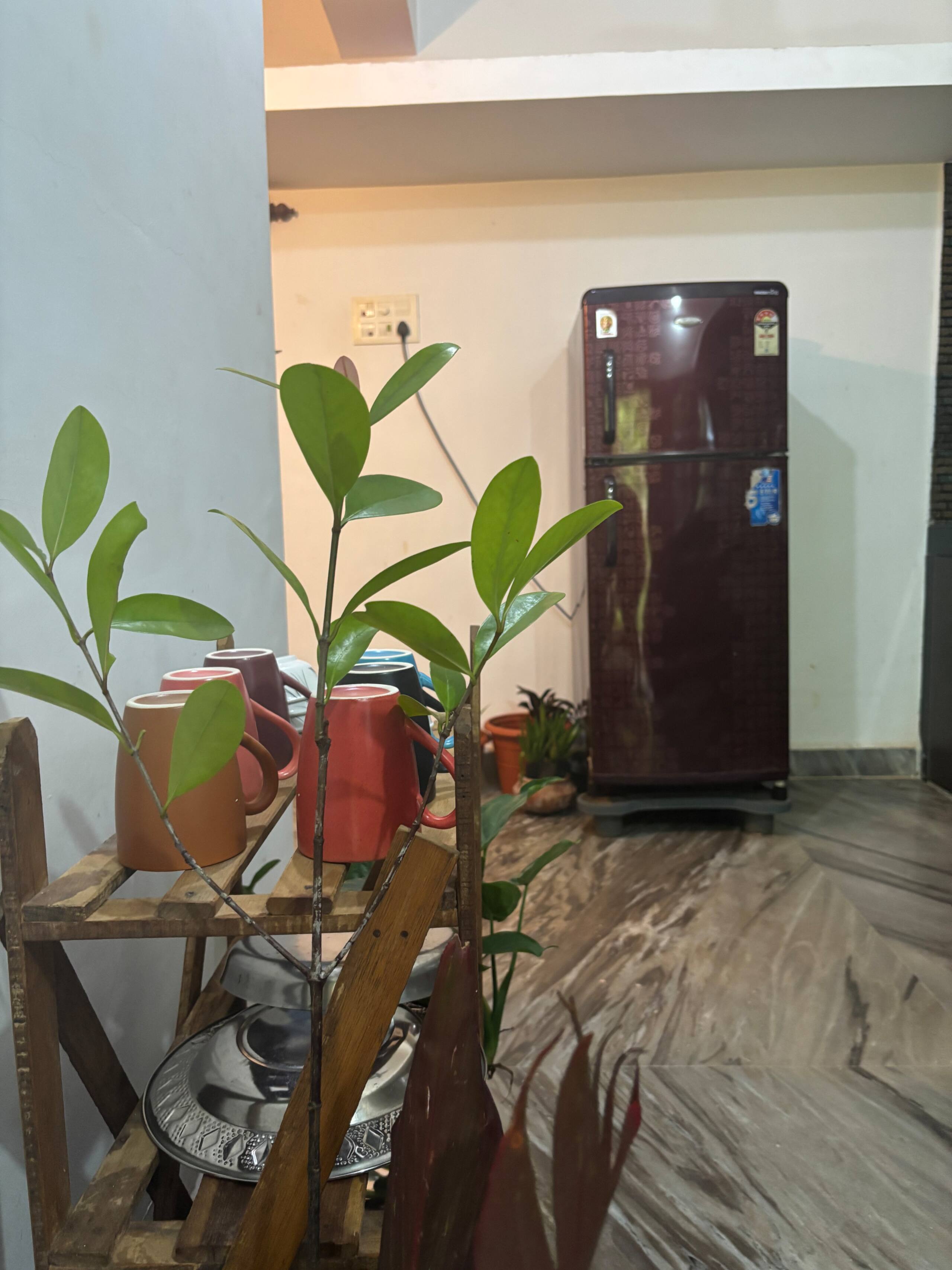 Serene 1BHK Near Patnem Beach & Eateries 26