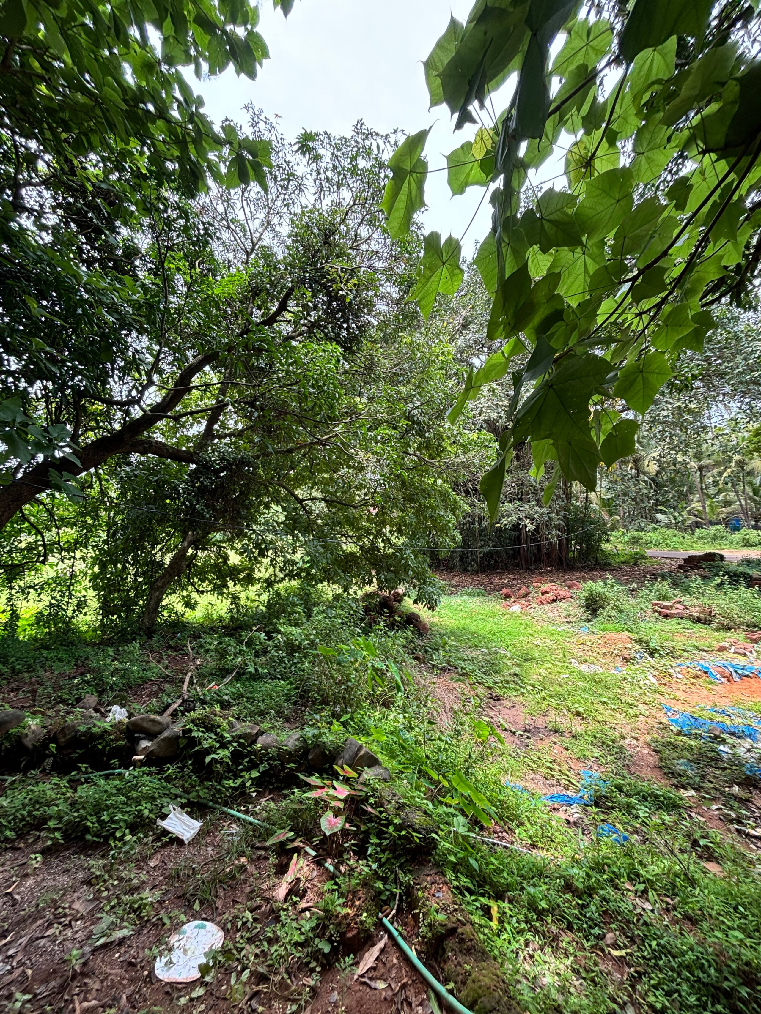 Serene 1BHK Near Patnem Beach & Eateries 22