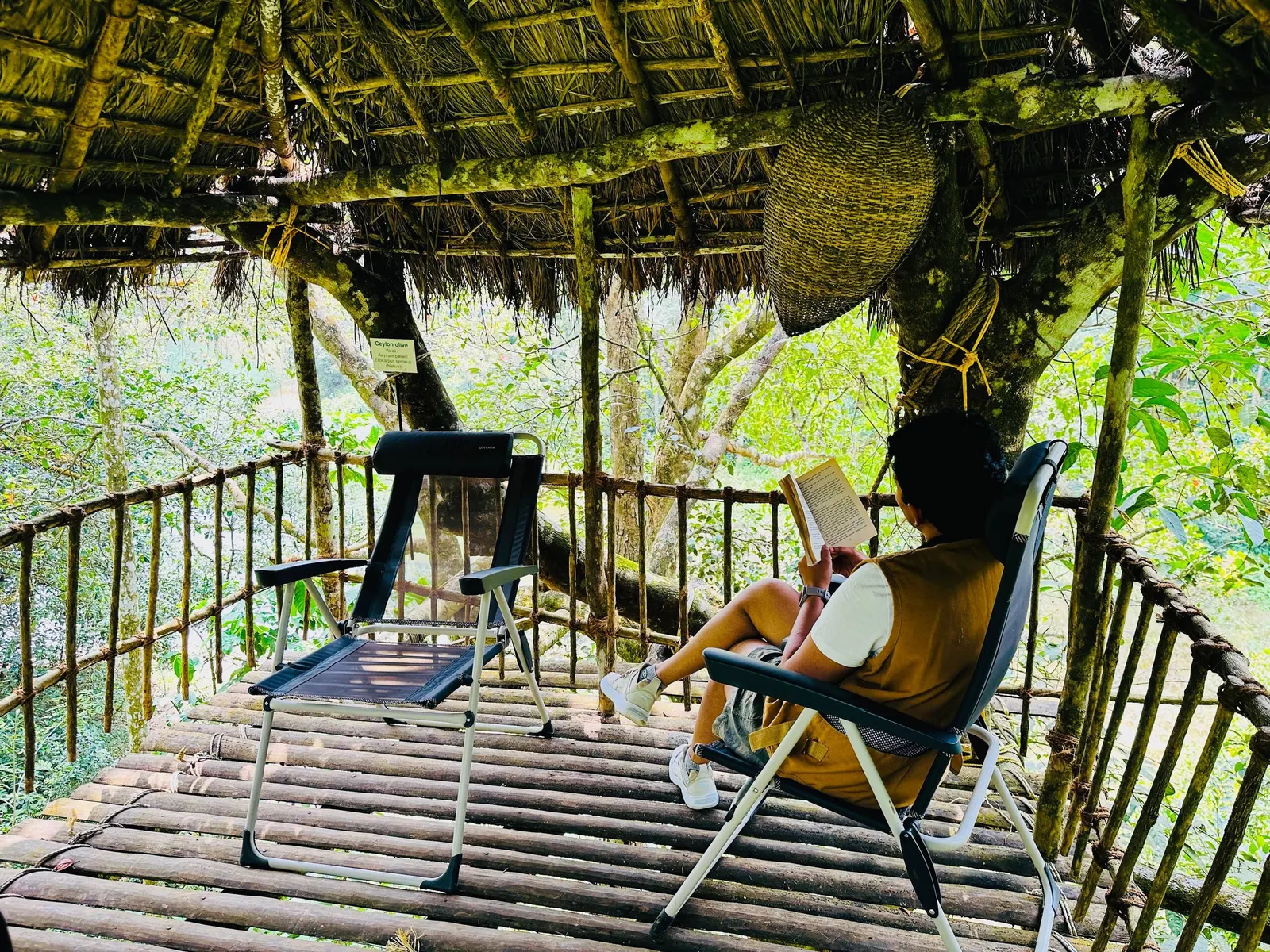 The Hive at Druv Dakshin - Private Pool Villa 37