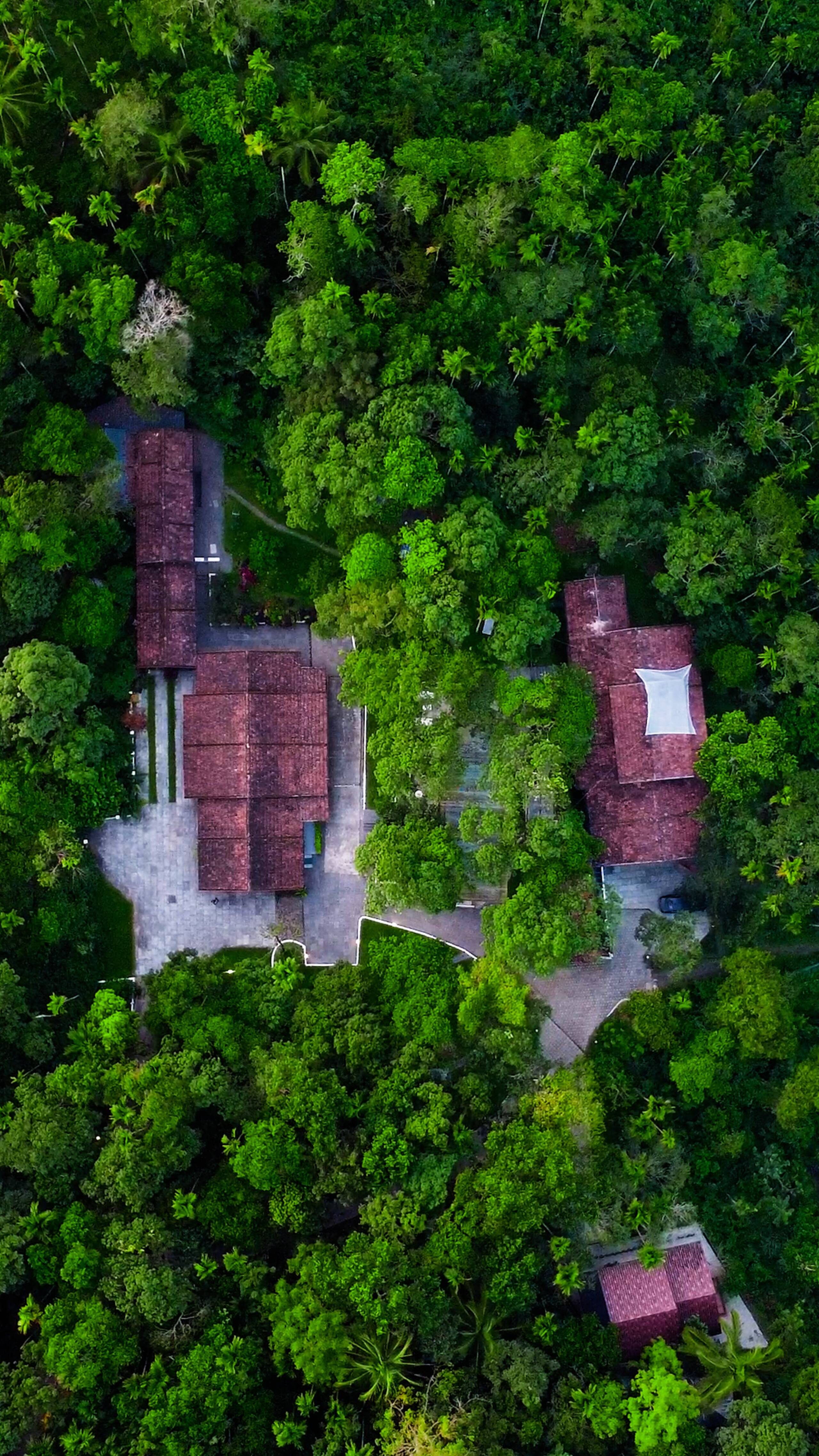 The Hive at Druv Dakshin - Private Pool Villa 35