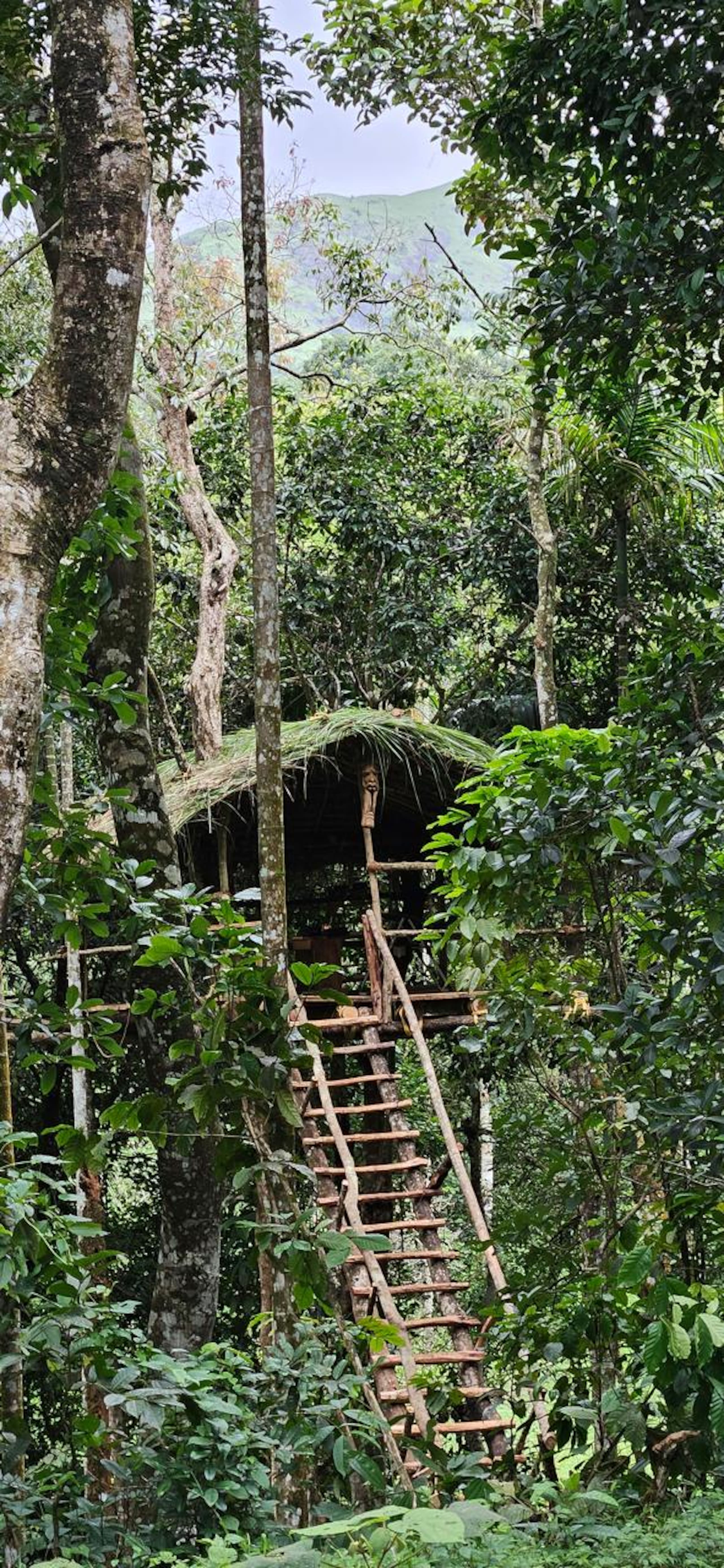 The Hive at Druv Dakshin - Private Pool Villa 21