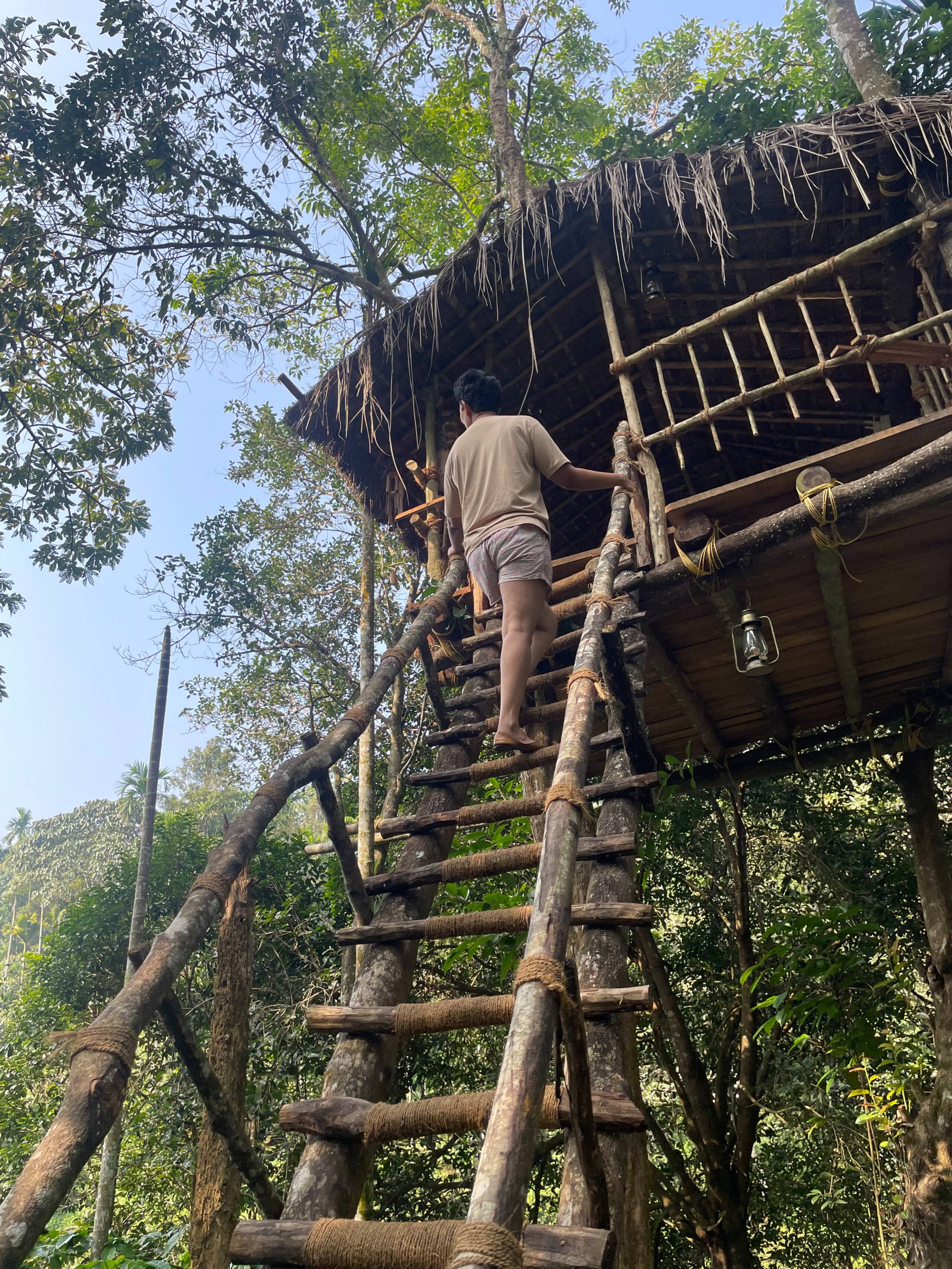 The Hive at Druv Dakshin - Private Pool Villa 36