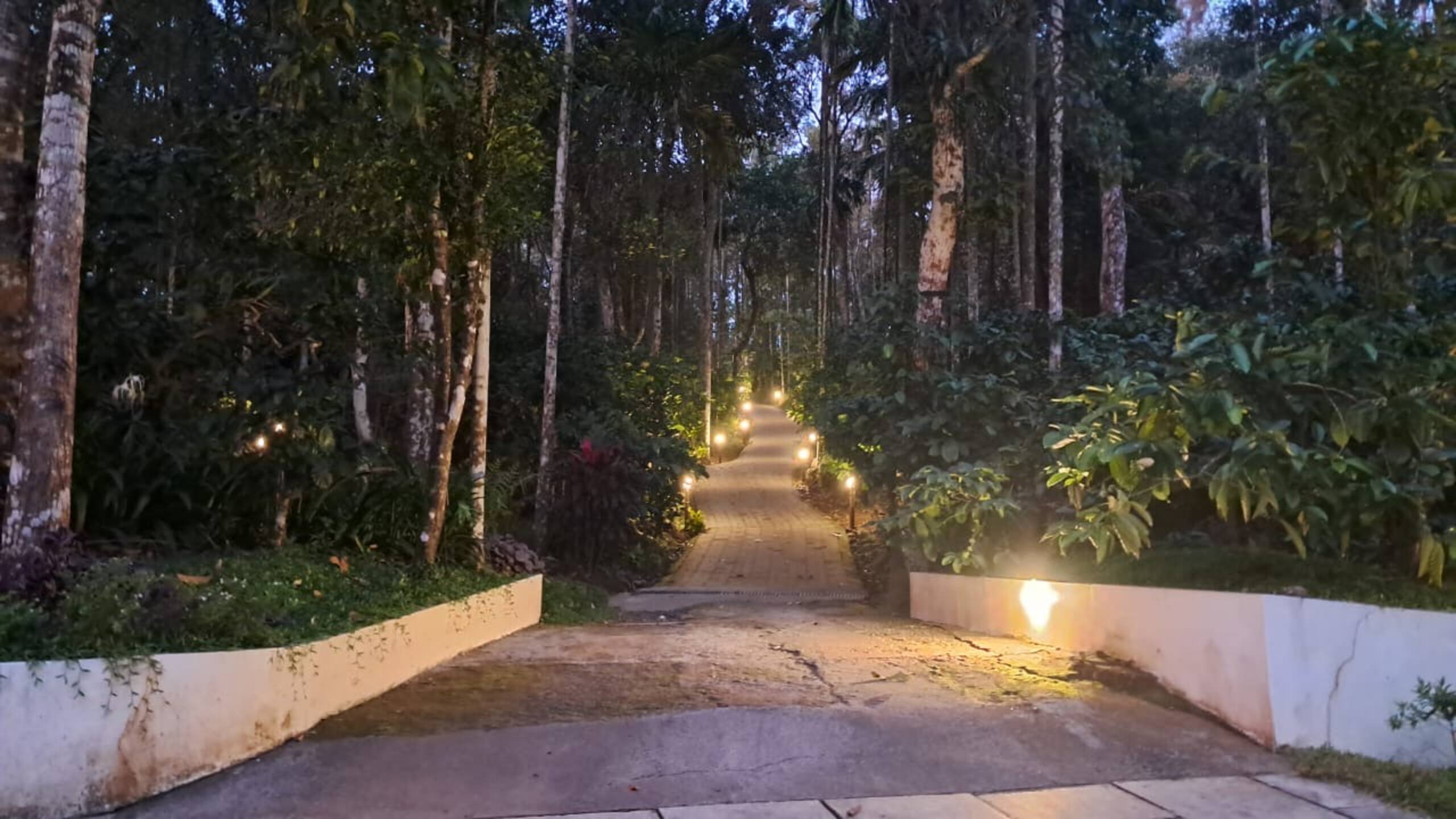 The Hive at Druv Dakshin - Private Pool Villa 29