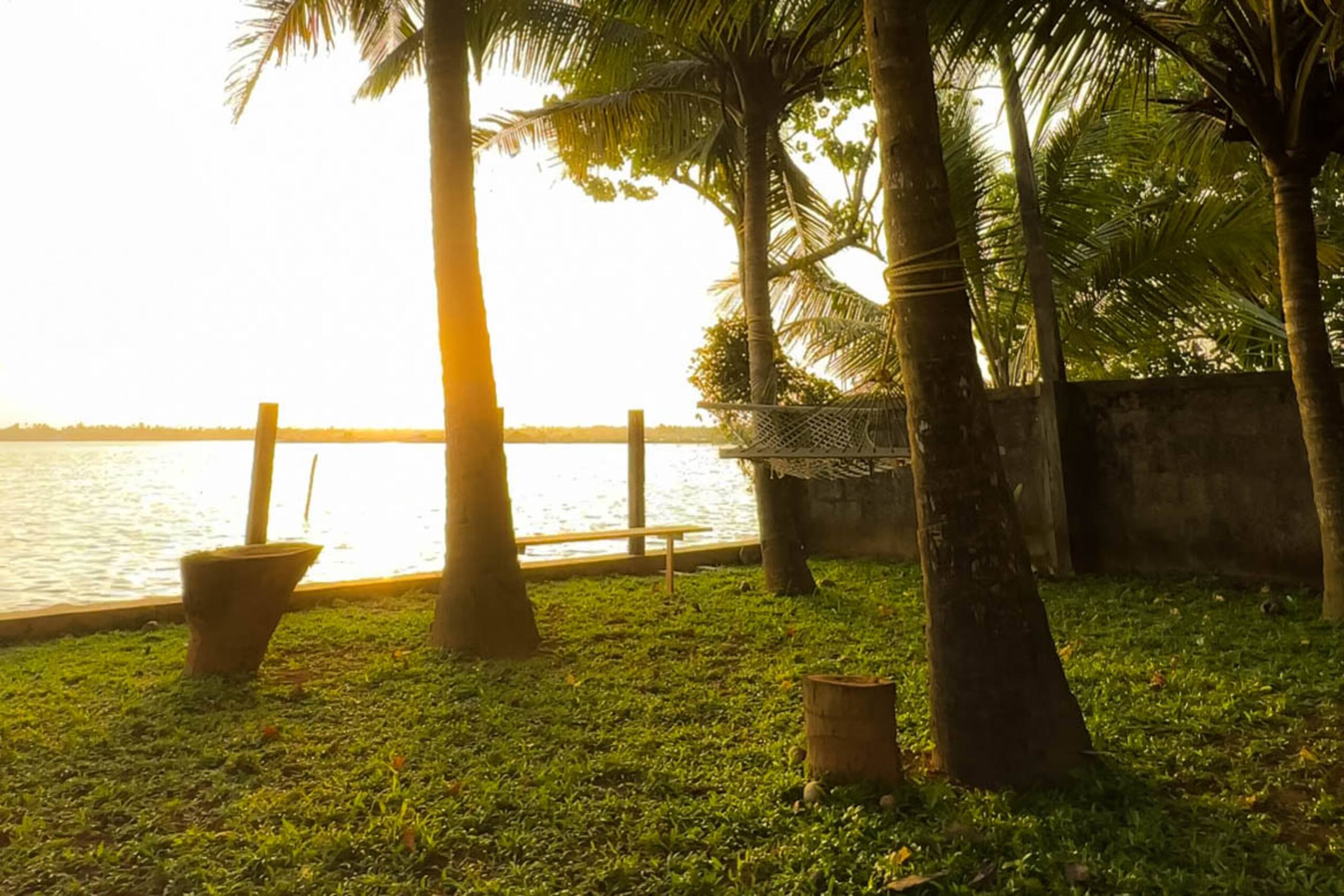 wavehaven kochi 1