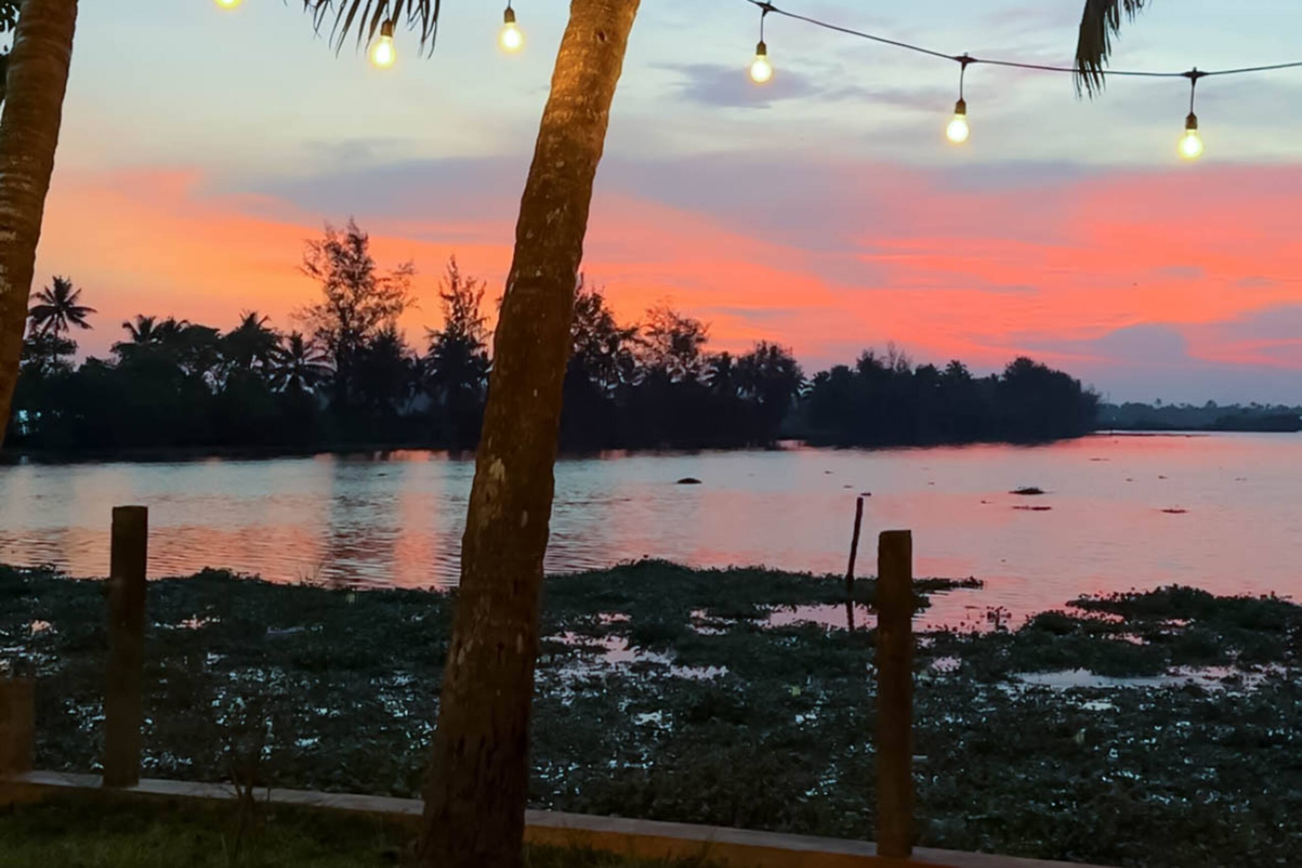 wavehaven kochi 12