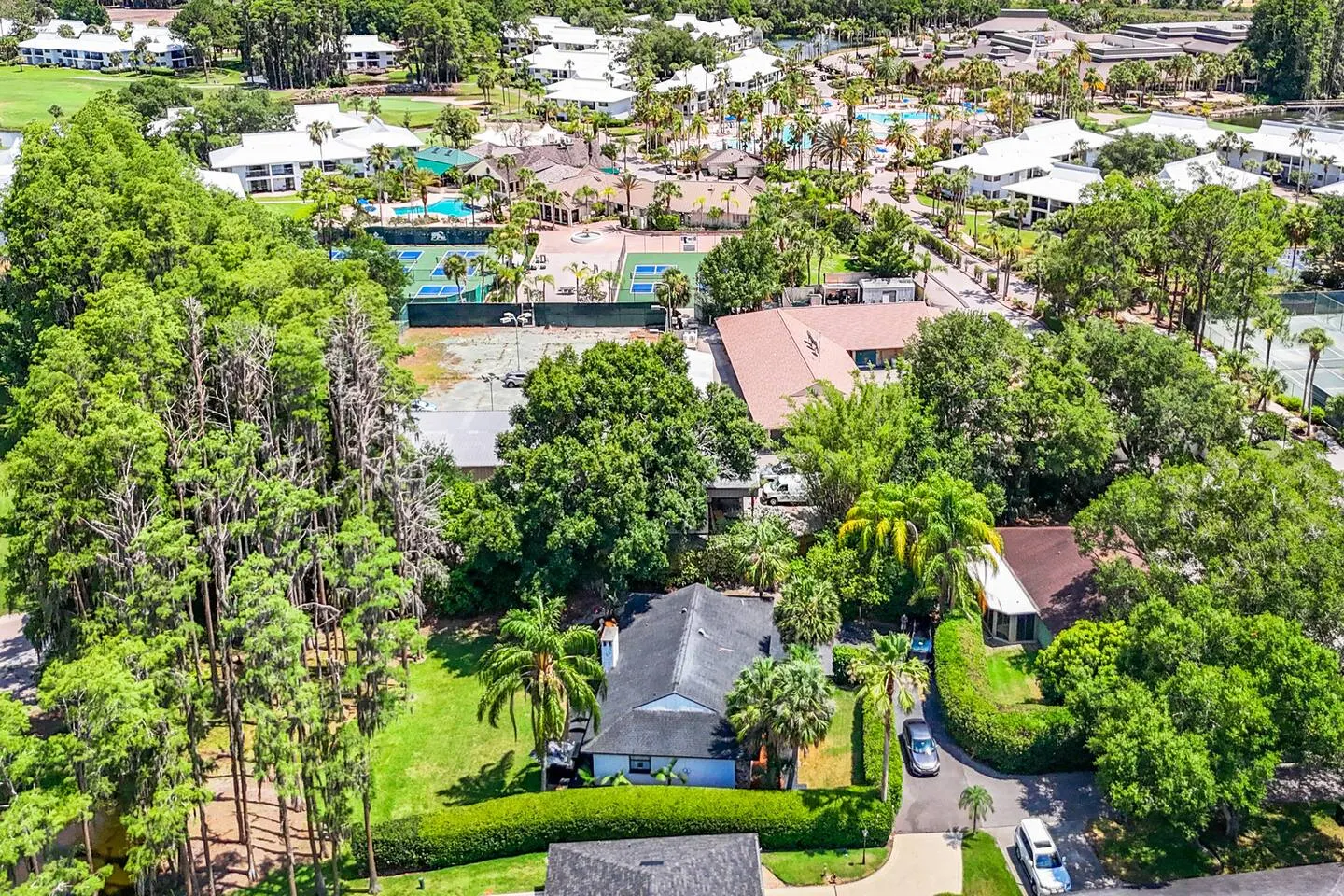 Tampa Saddlebrook Golf Resort Villa 6BR/4BA 20