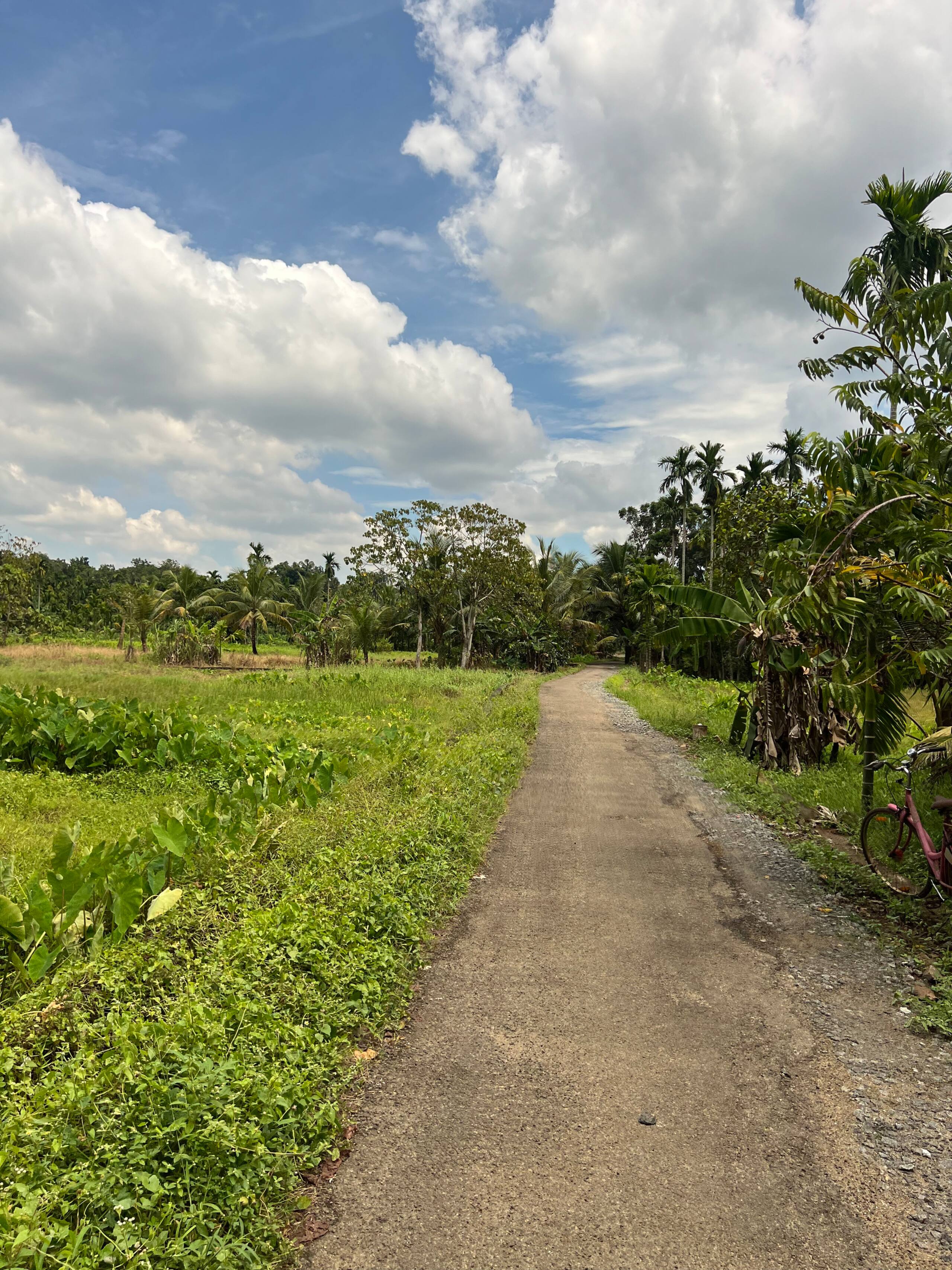 Palm Grove: Kerala Green Retreat 18