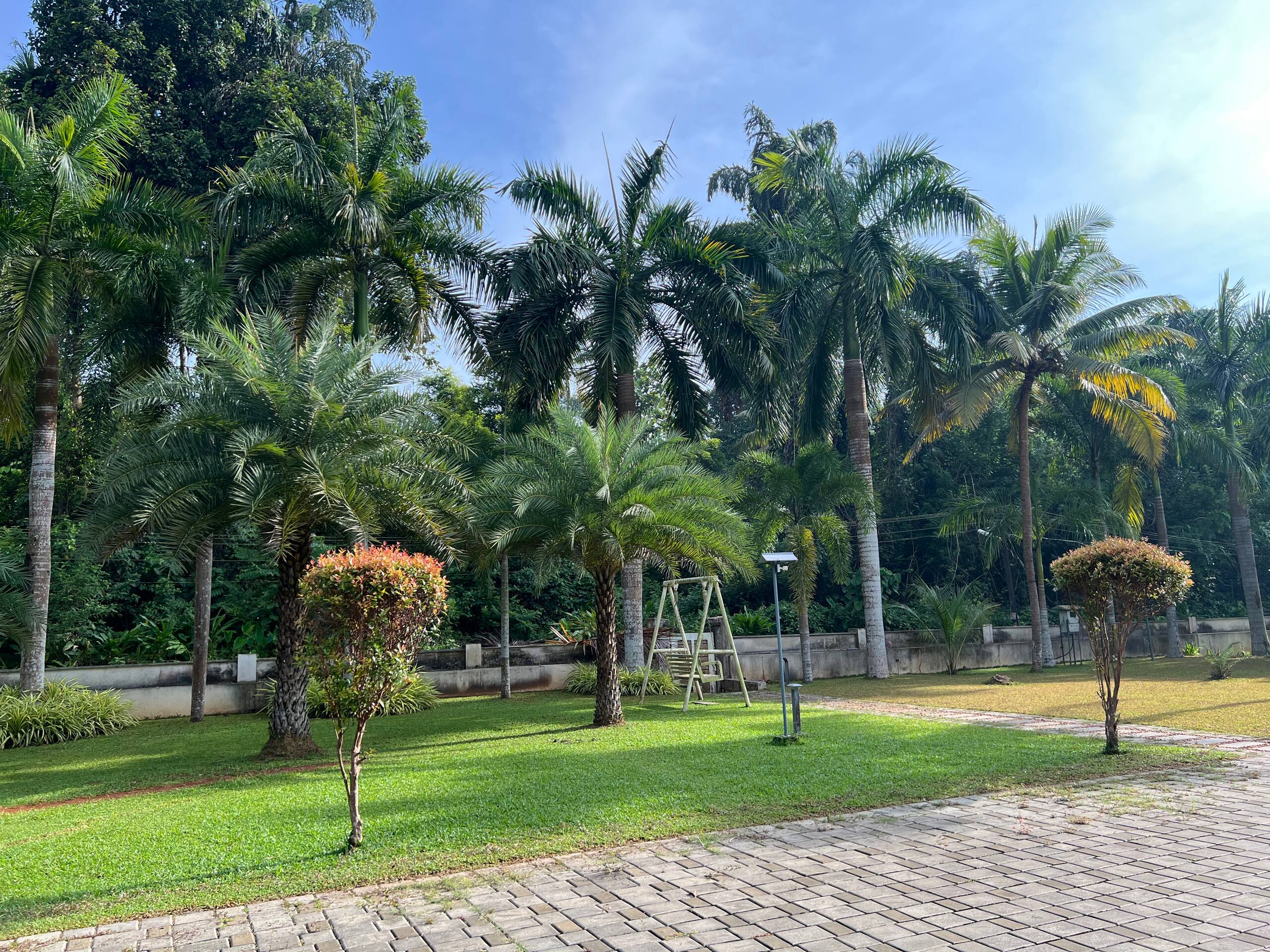 Palm Grove: Kerala Green Retreat 10