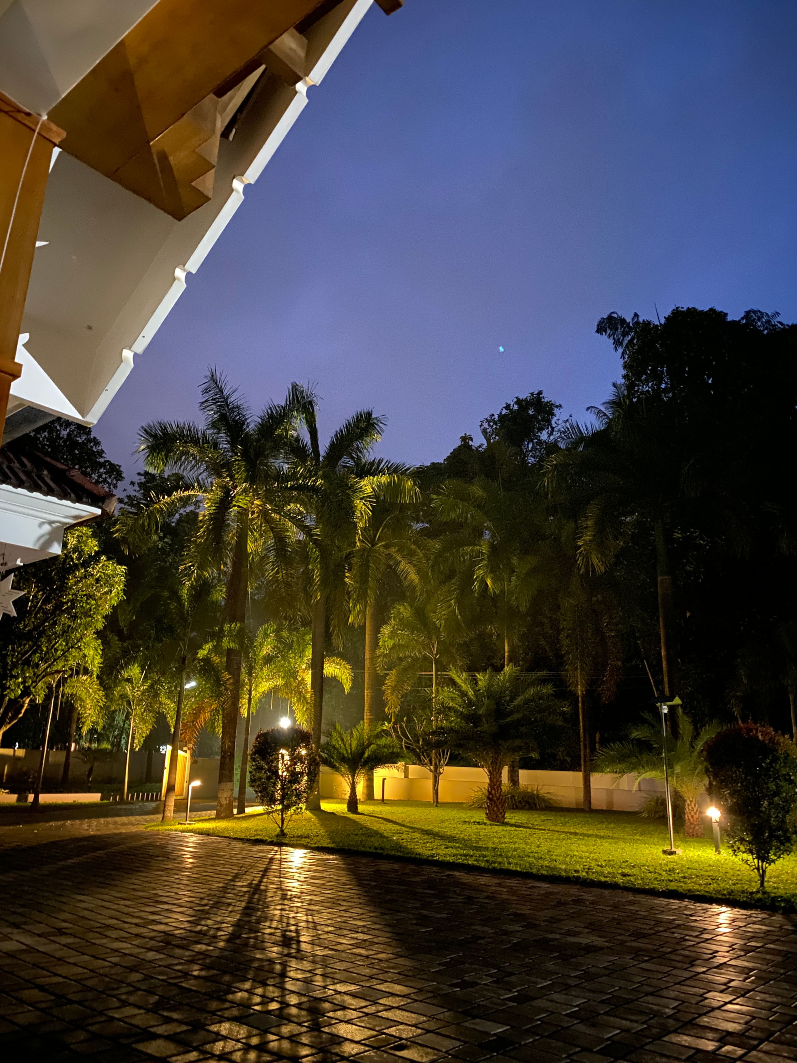 Palm Grove: Kerala Green Retreat 9