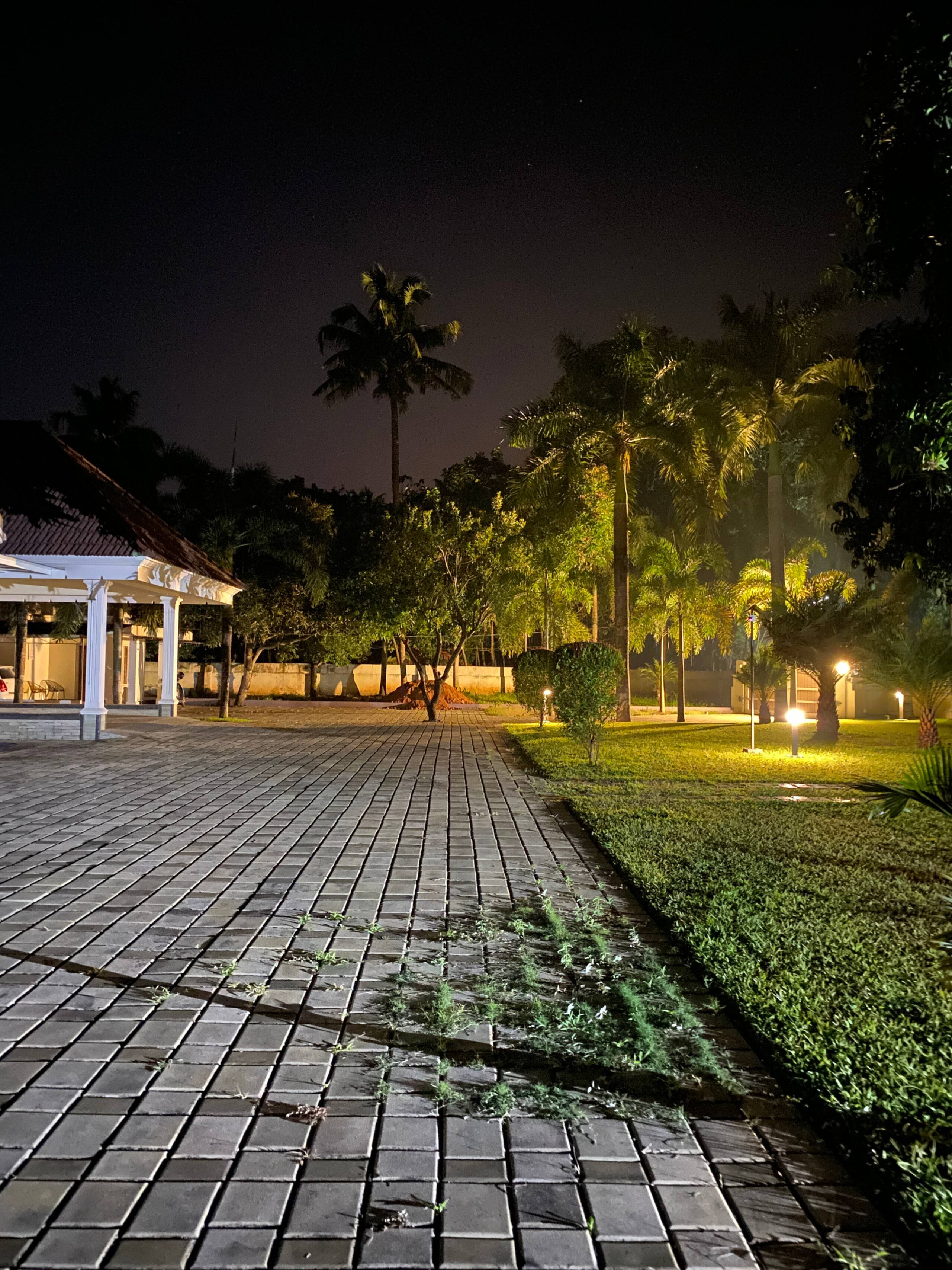Palm Grove: Kerala Green Retreat 19