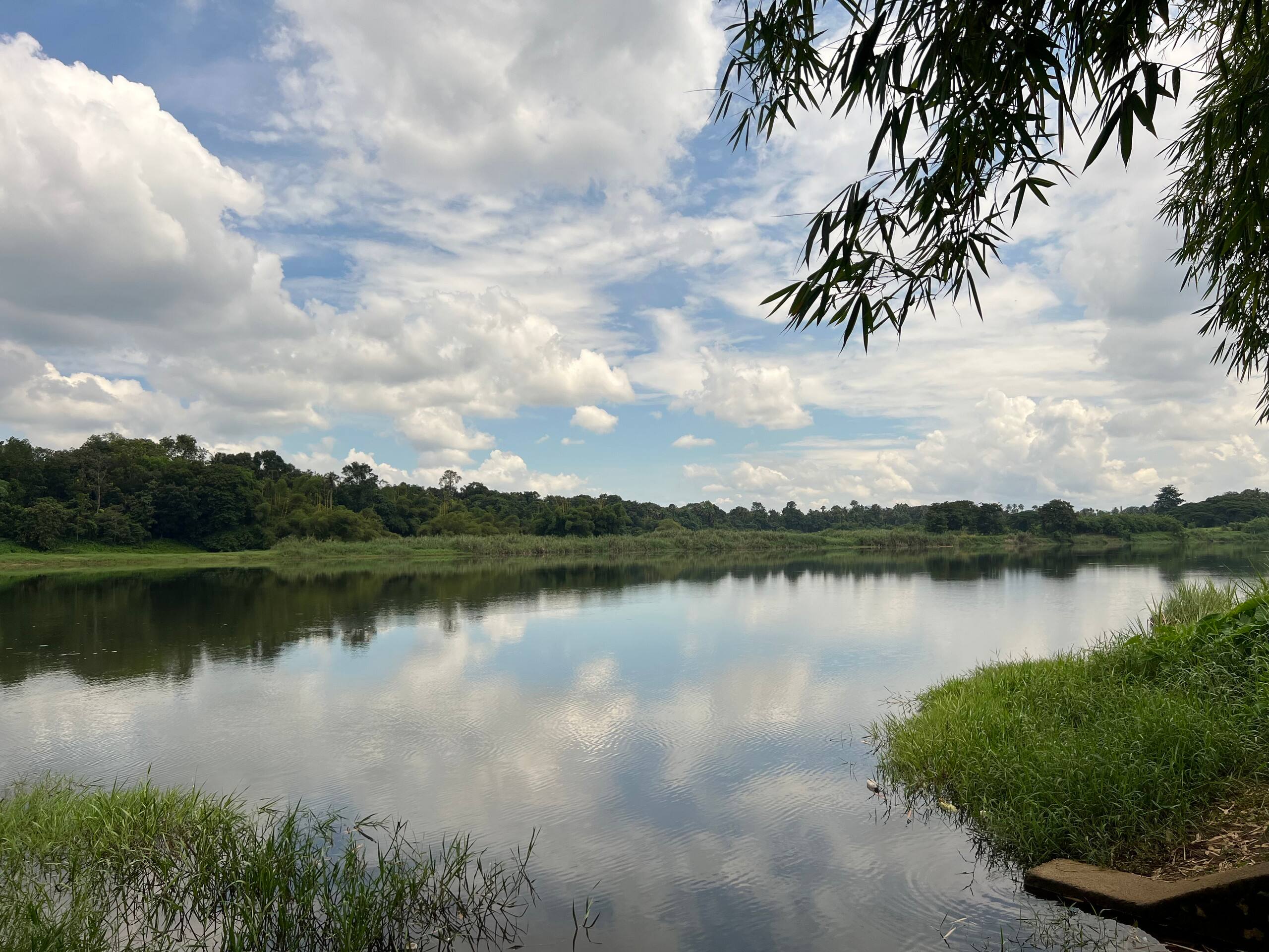 Palm Grove: Kerala Green Retreat 17