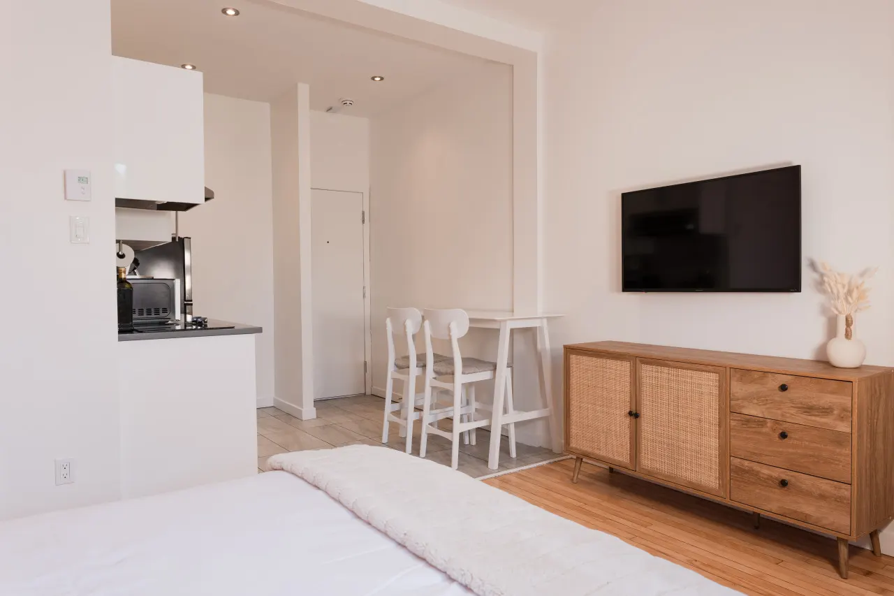 #4 - Studio/Plateau/St-Denis/SelfCheck-In/AC/TV 10