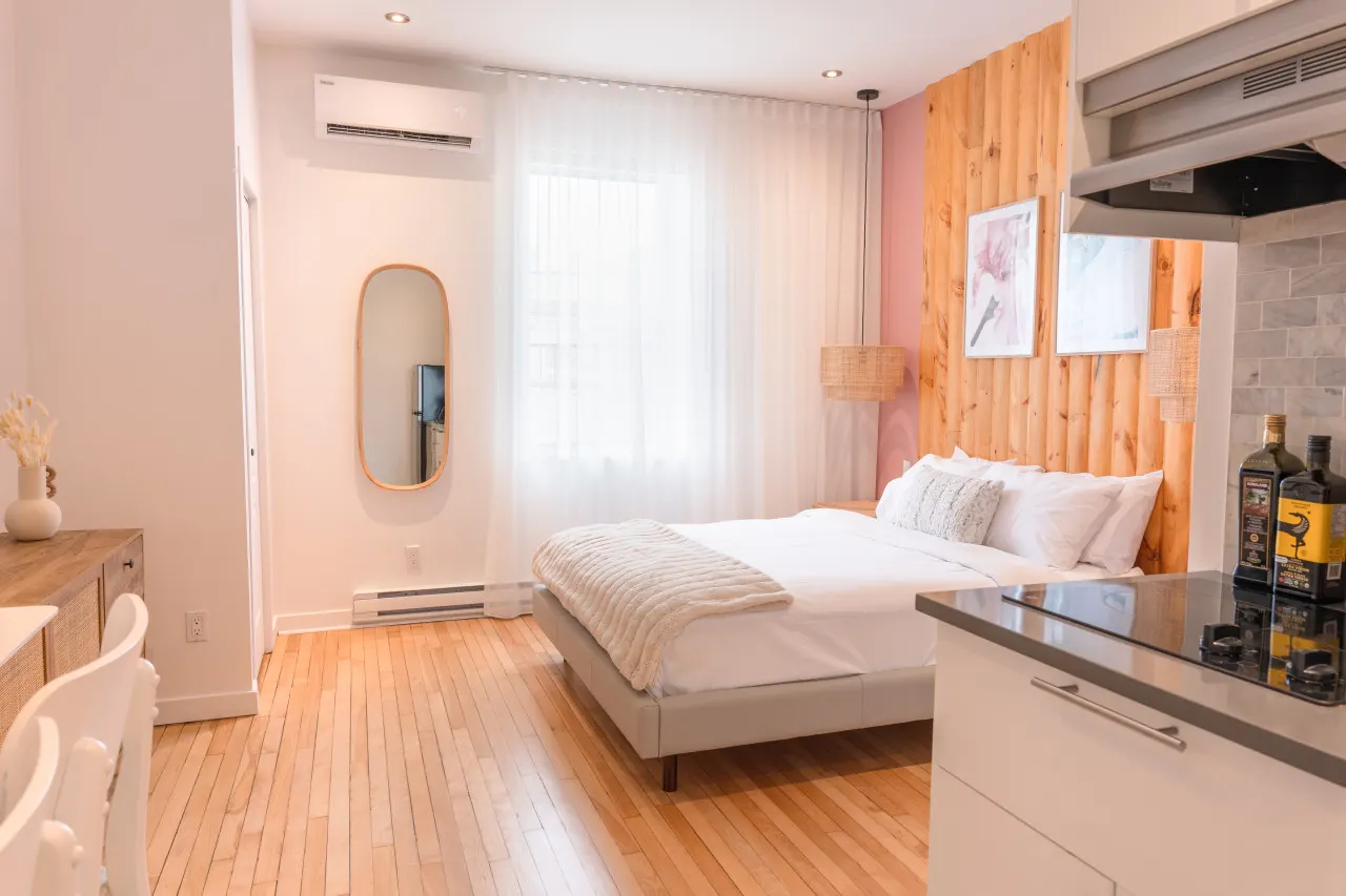 #4 - Studio/Plateau/St-Denis/SelfCheck-In/AC/TV 6