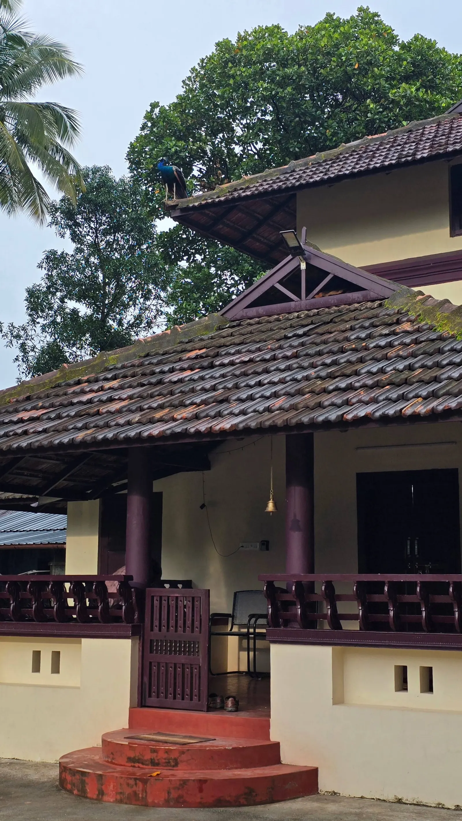 Neermathalam, a traditional kerala tharavadu 2