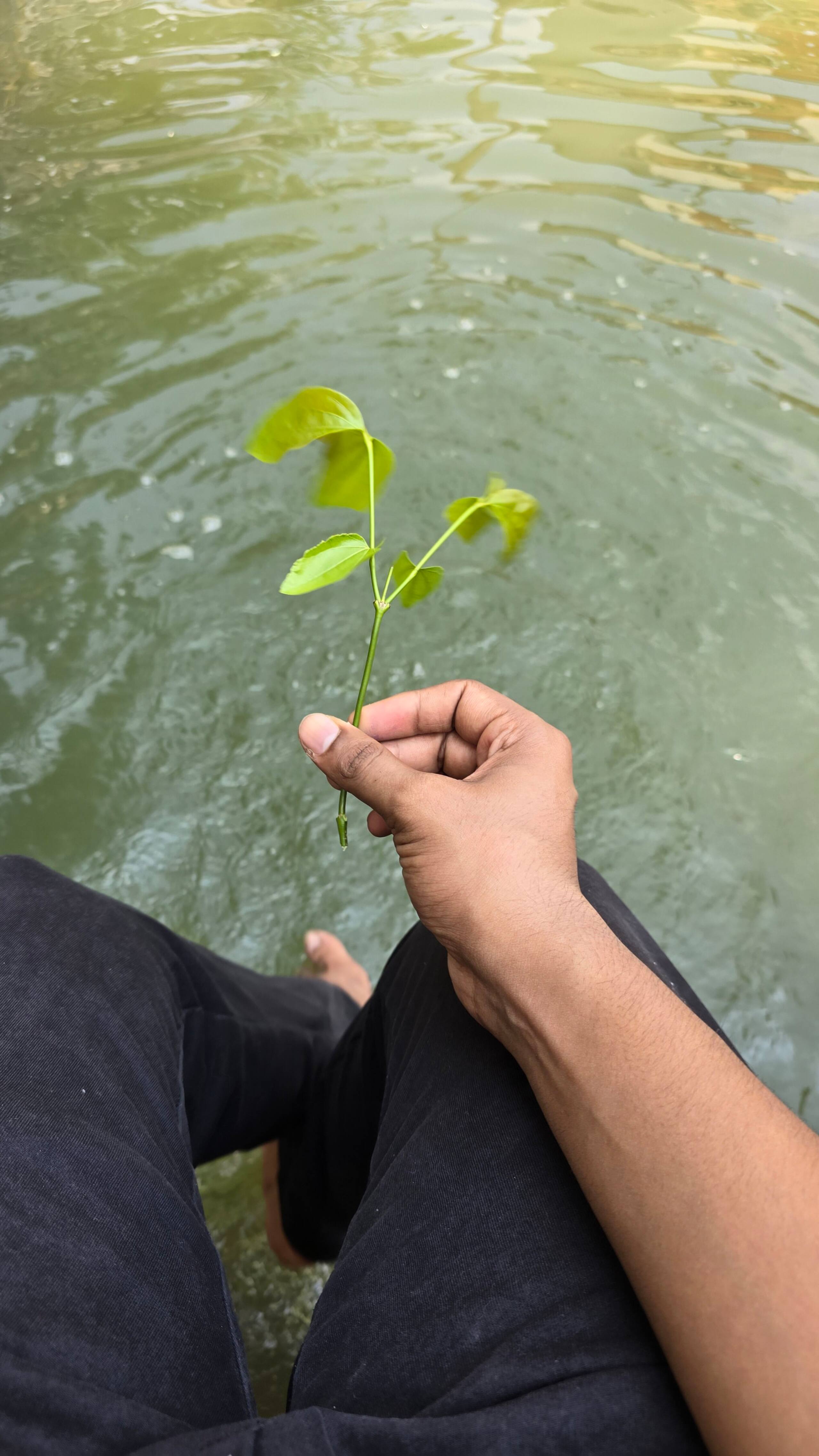 Neermathalam, a traditional kerala tharavadu 9