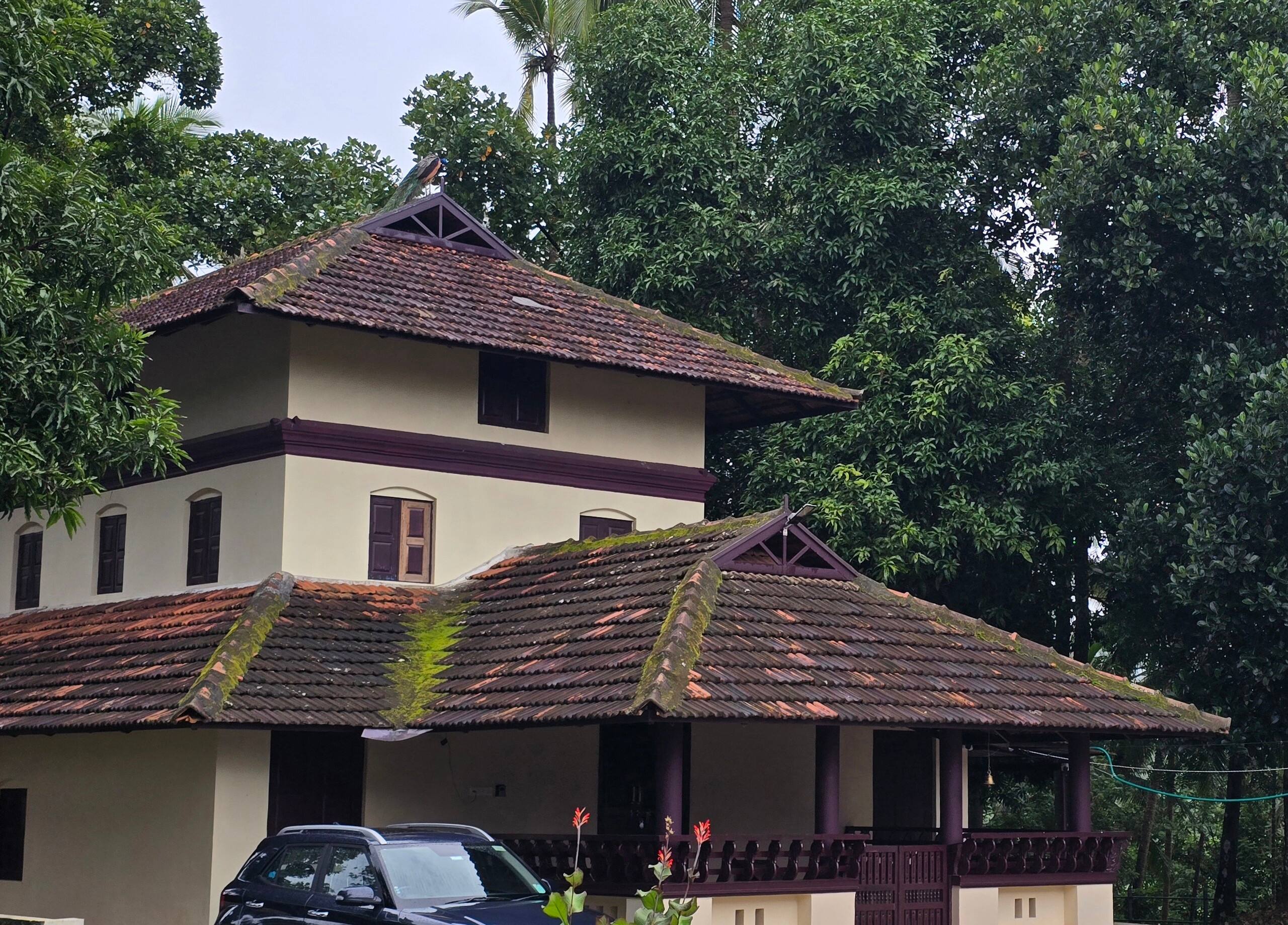 Neermathalam, a traditional kerala tharavadu 7