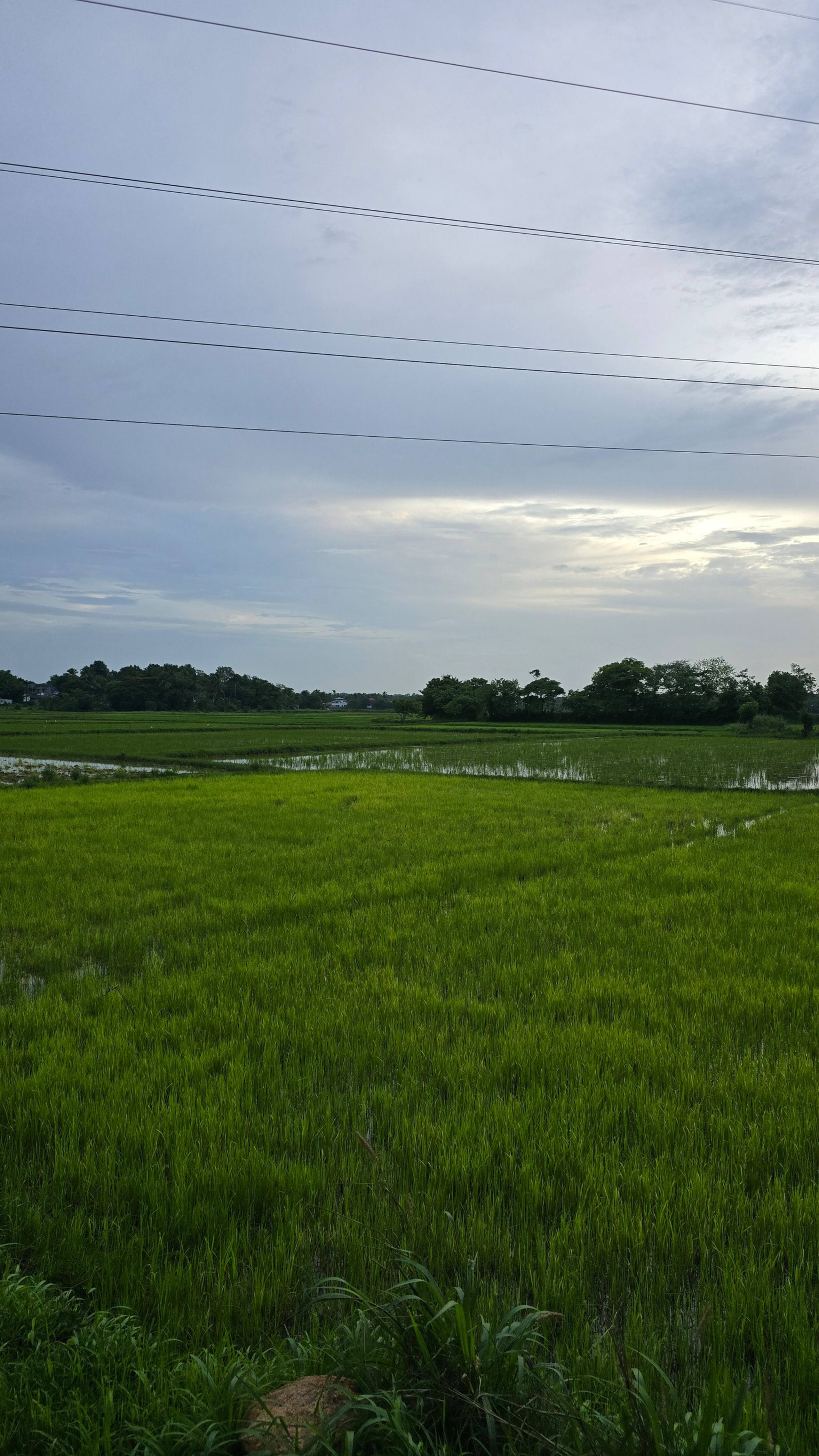 Neermathalam, a traditional kerala tharavadu 10