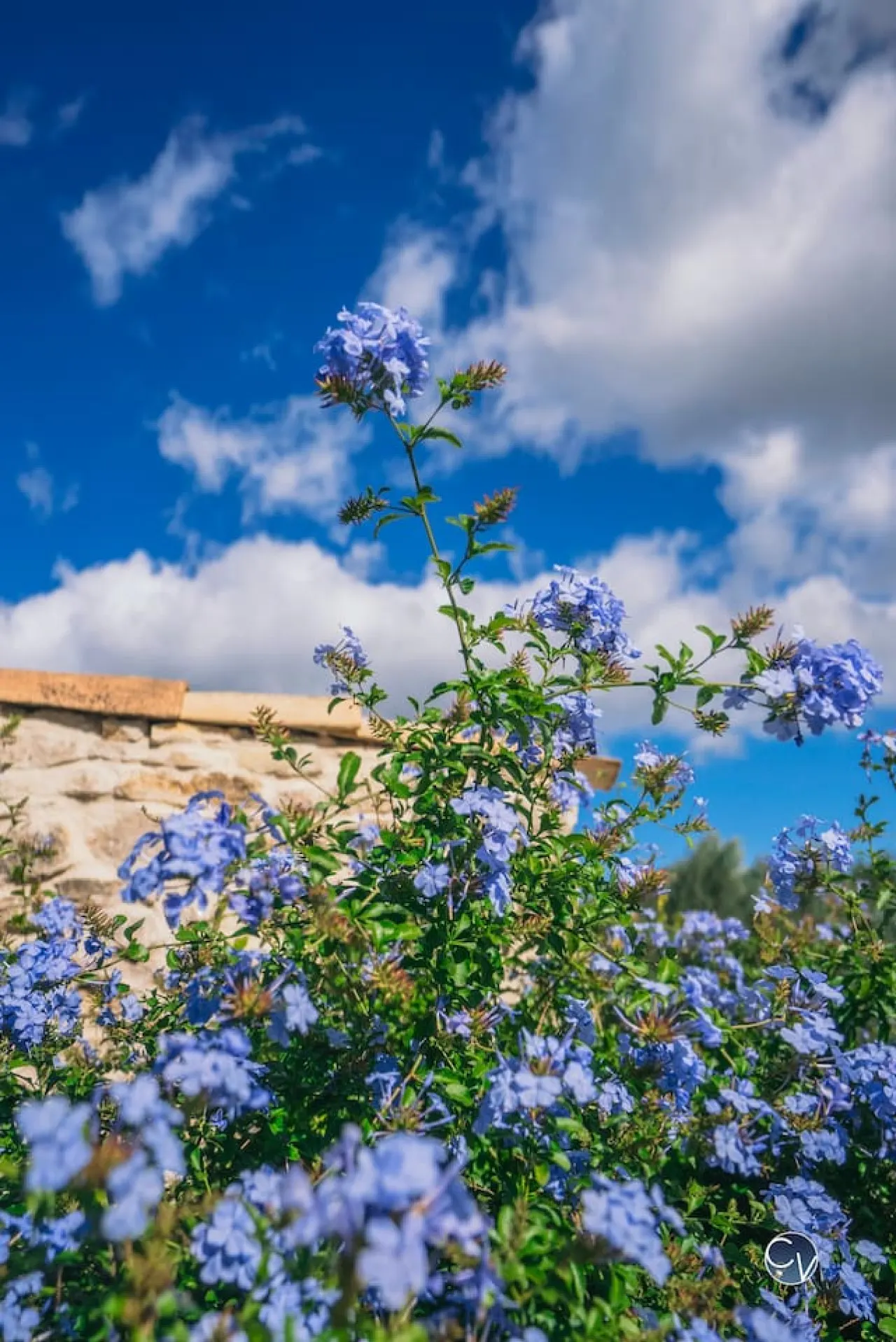 Villa avec piscine et vue imprenable en Ardèche 11