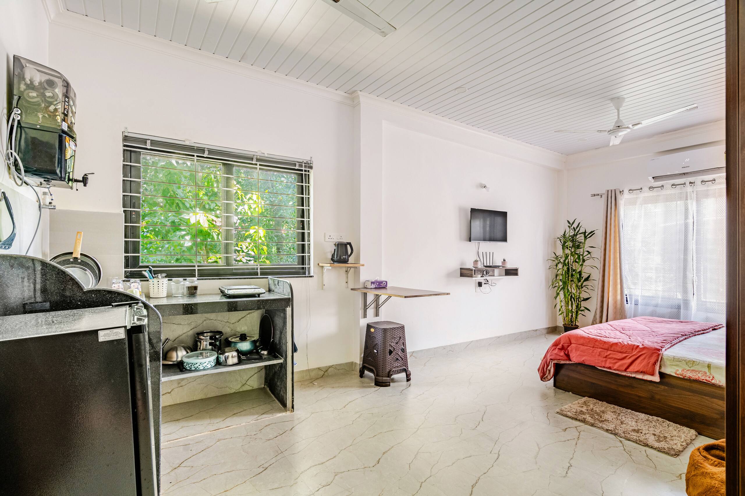 Home Rebels: Stay Wild 10