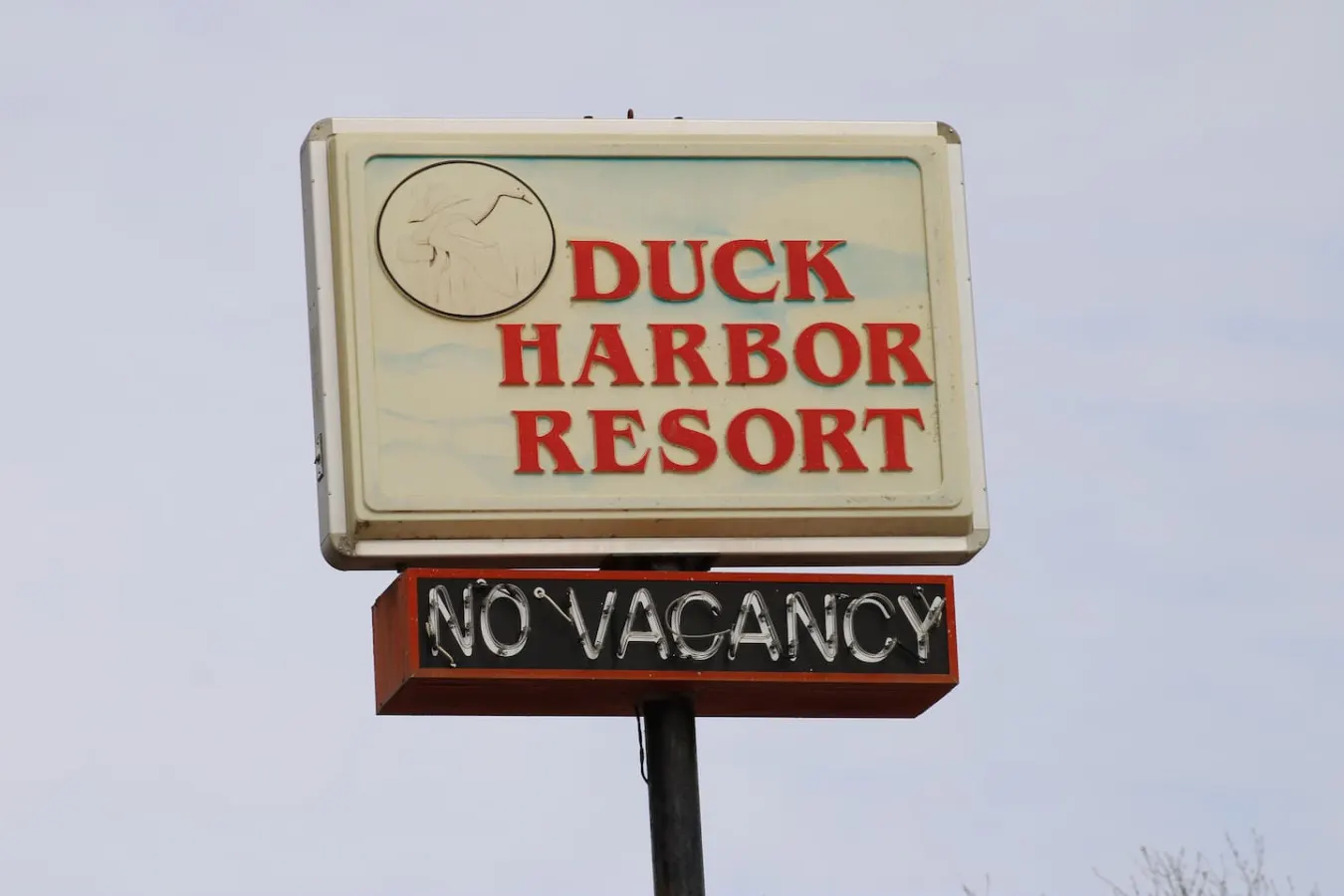 Orphan Annie at Duck Harbor 20