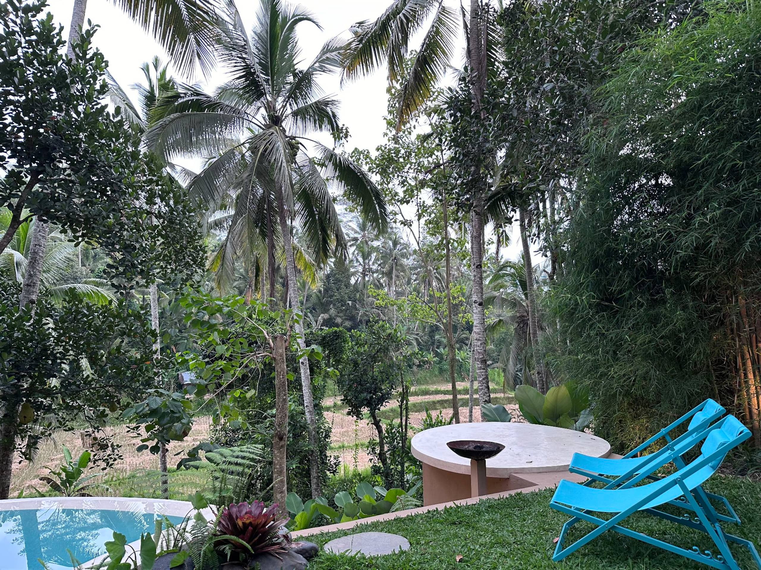 Umatreehouse. ecotreehouse_ bamboo house bali 24