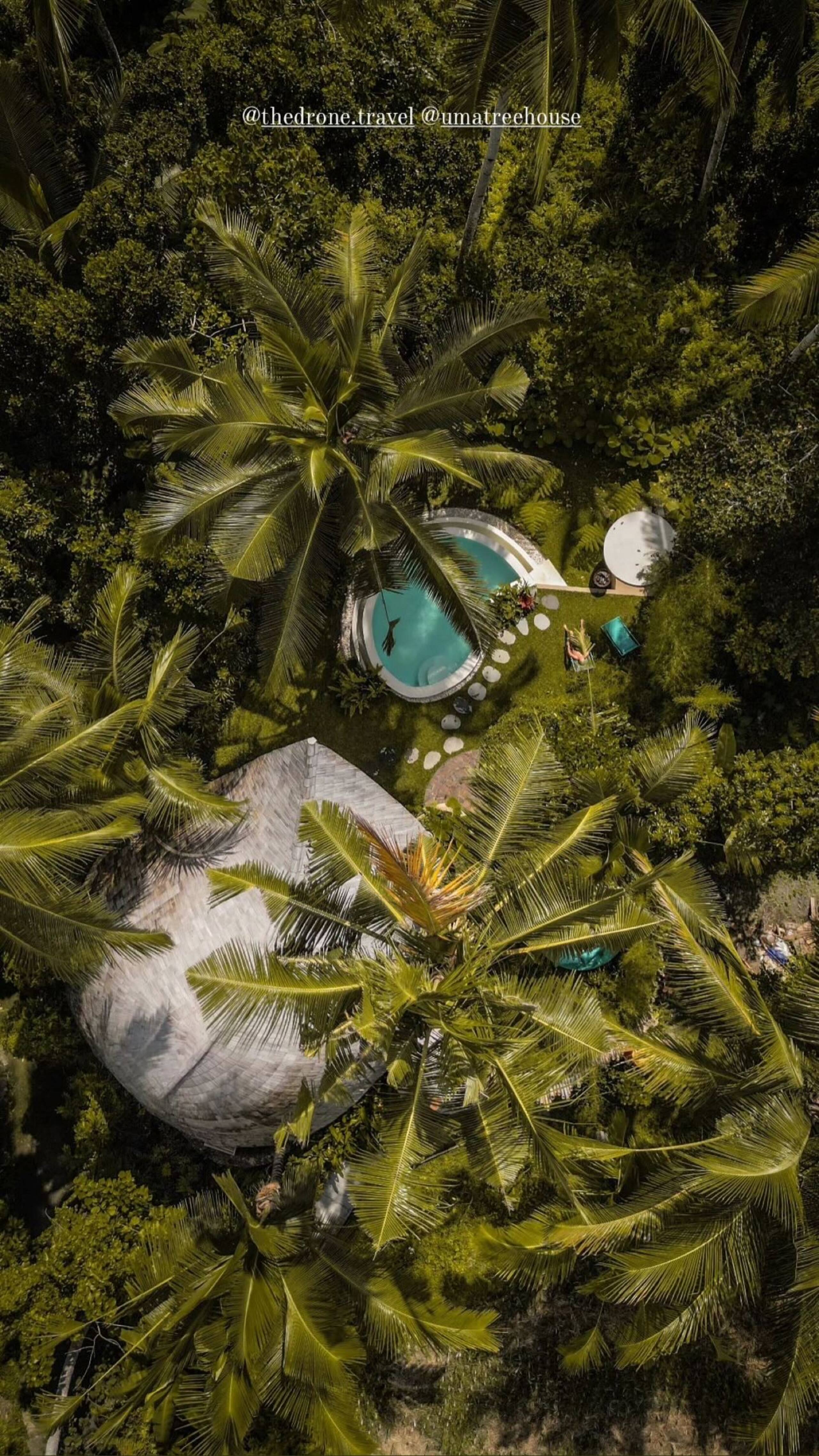 Umatreehouse. ecotreehouse_ bamboo house bali 36