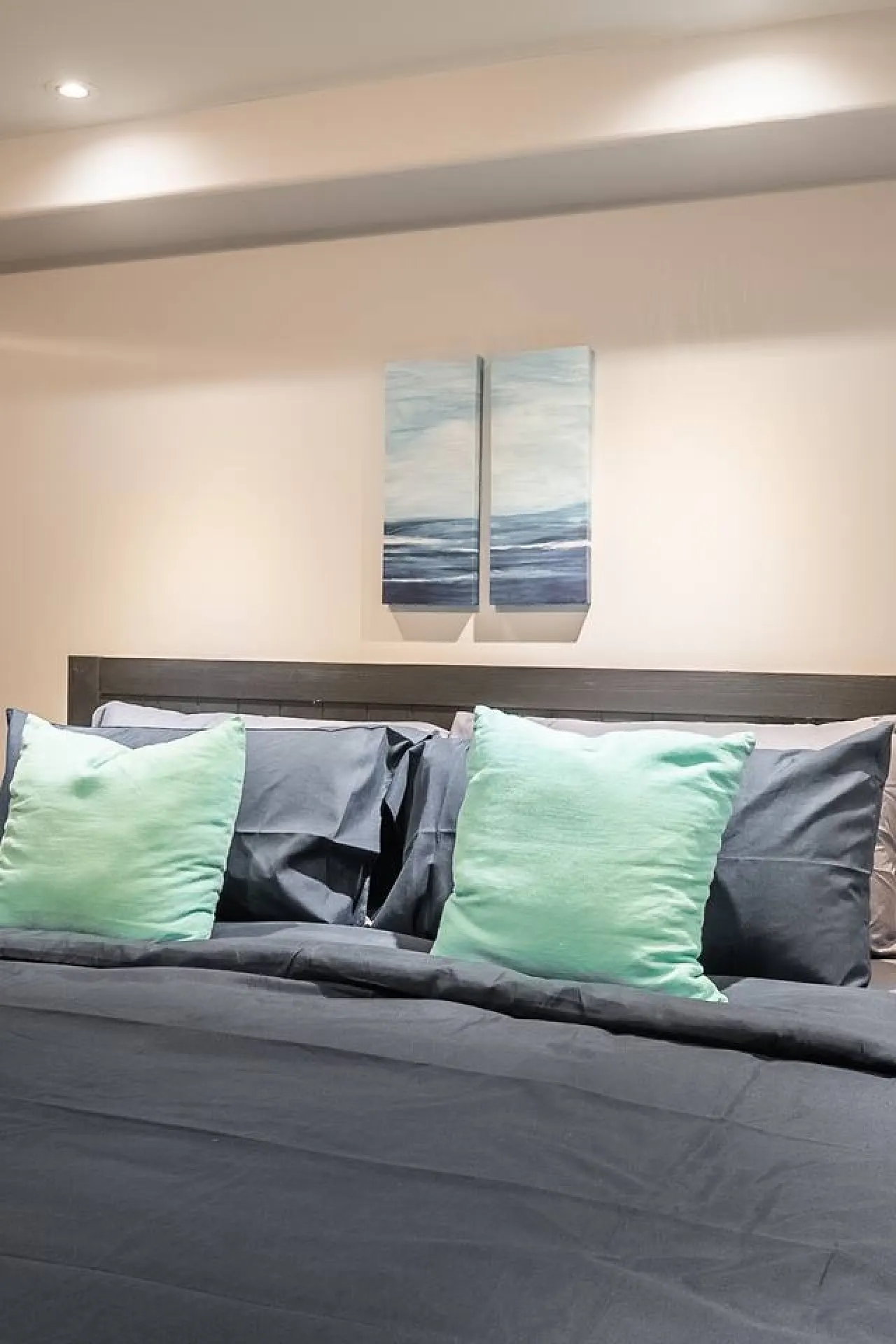 1BR Basement Suite King Bed Great Location 17