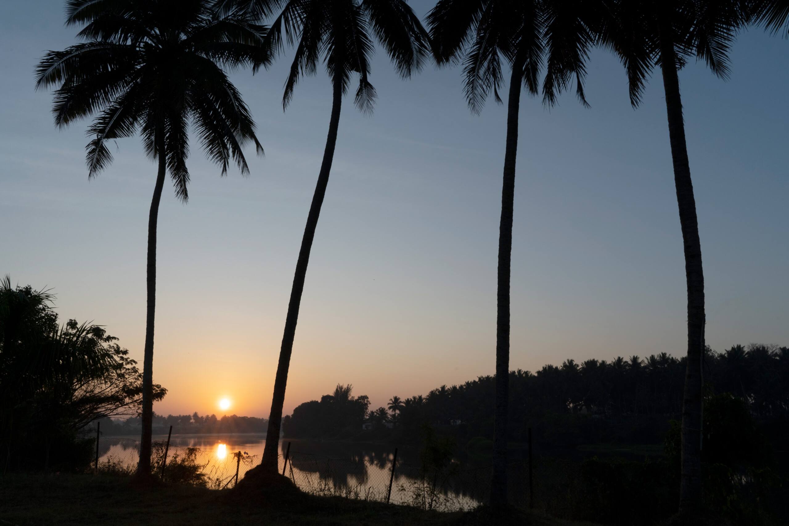 5BR Golden Apex - w/Pool Brkfst Kabini River View 29