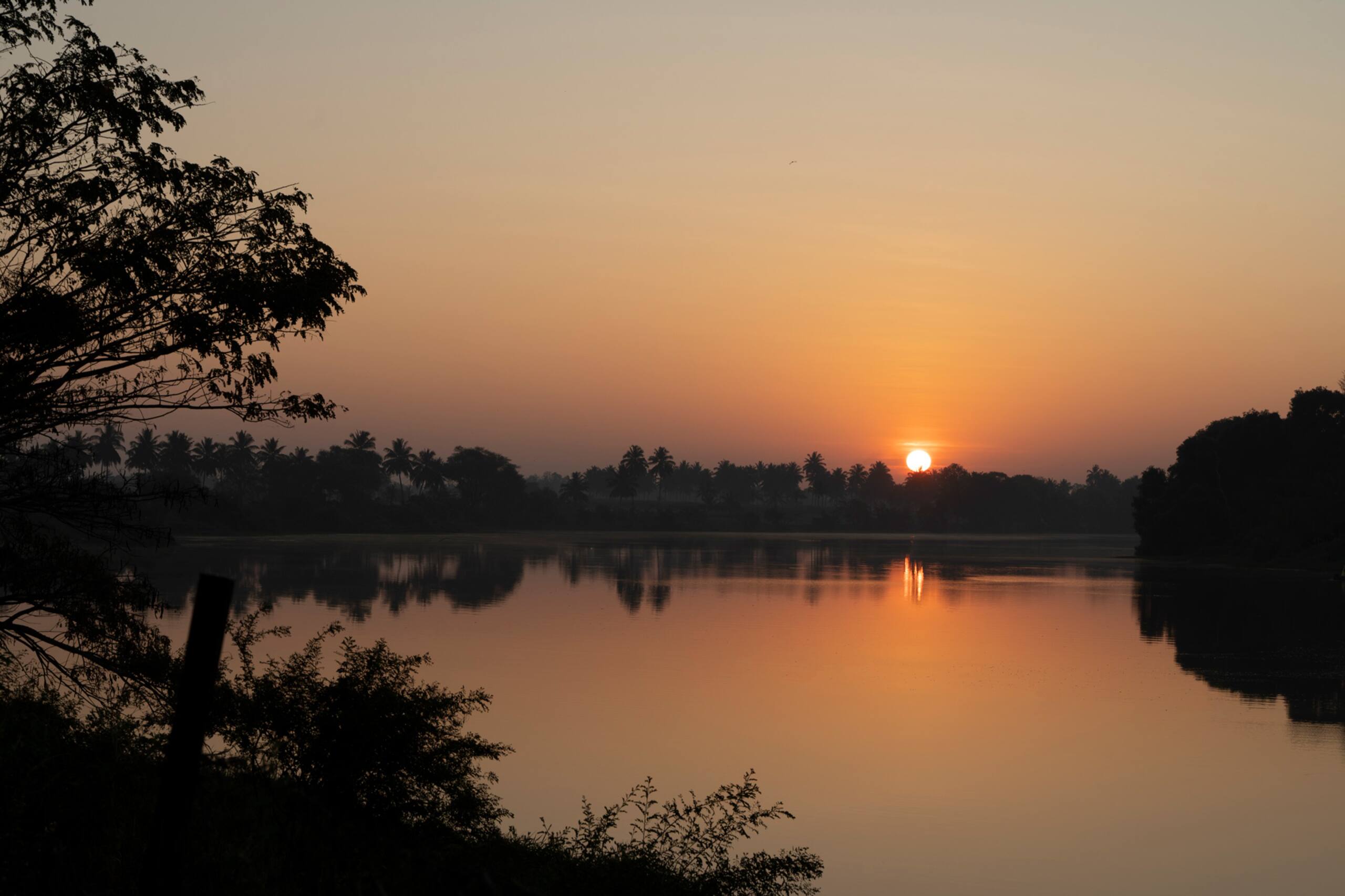 5BR Golden Apex - w/Pool Brkfst Kabini River View 20