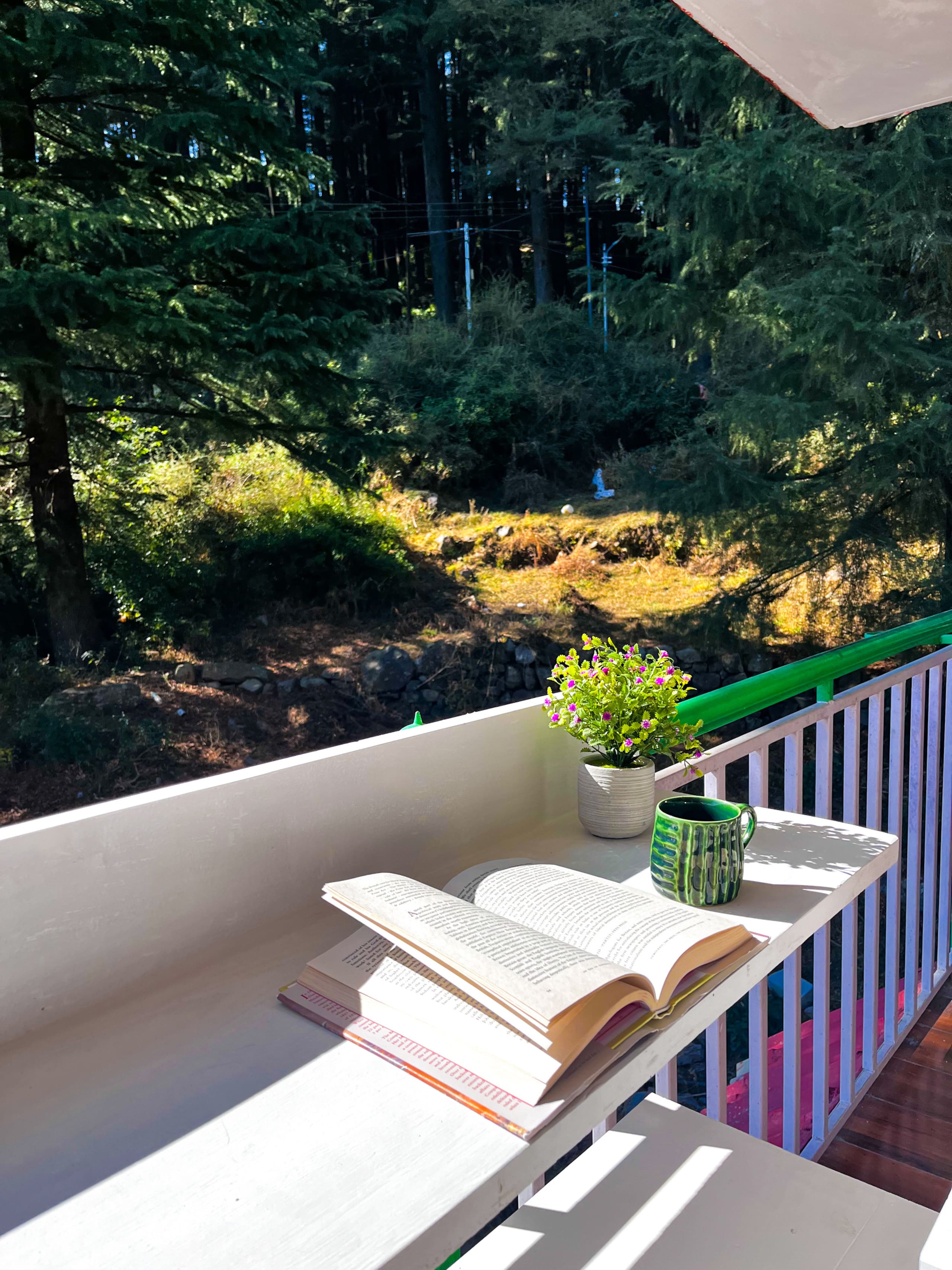 Studio Pine | Mountain View | Yutori Studios 7
