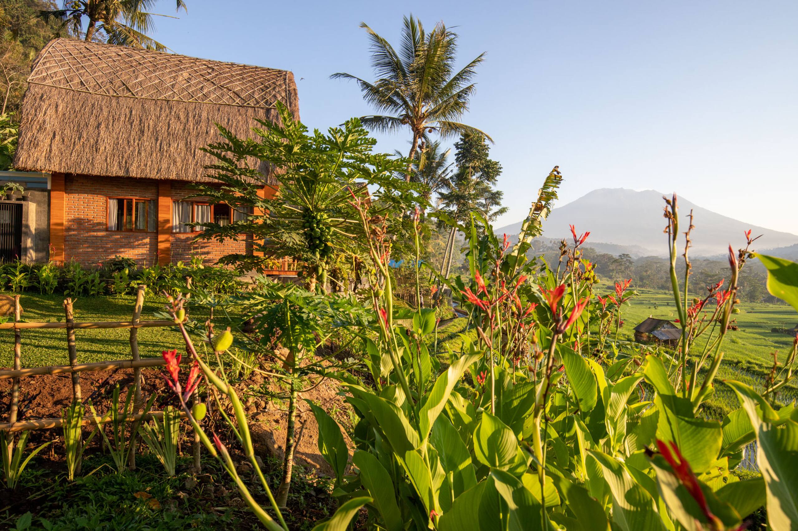 Like living in a romantic Balinese painting 26