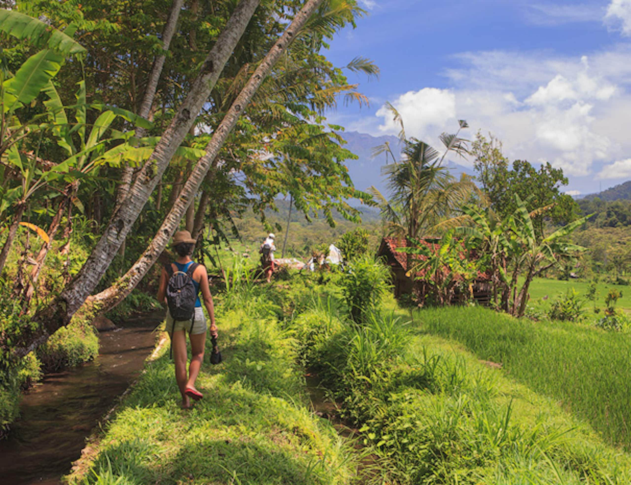 Like living in a romantic Balinese painting 34