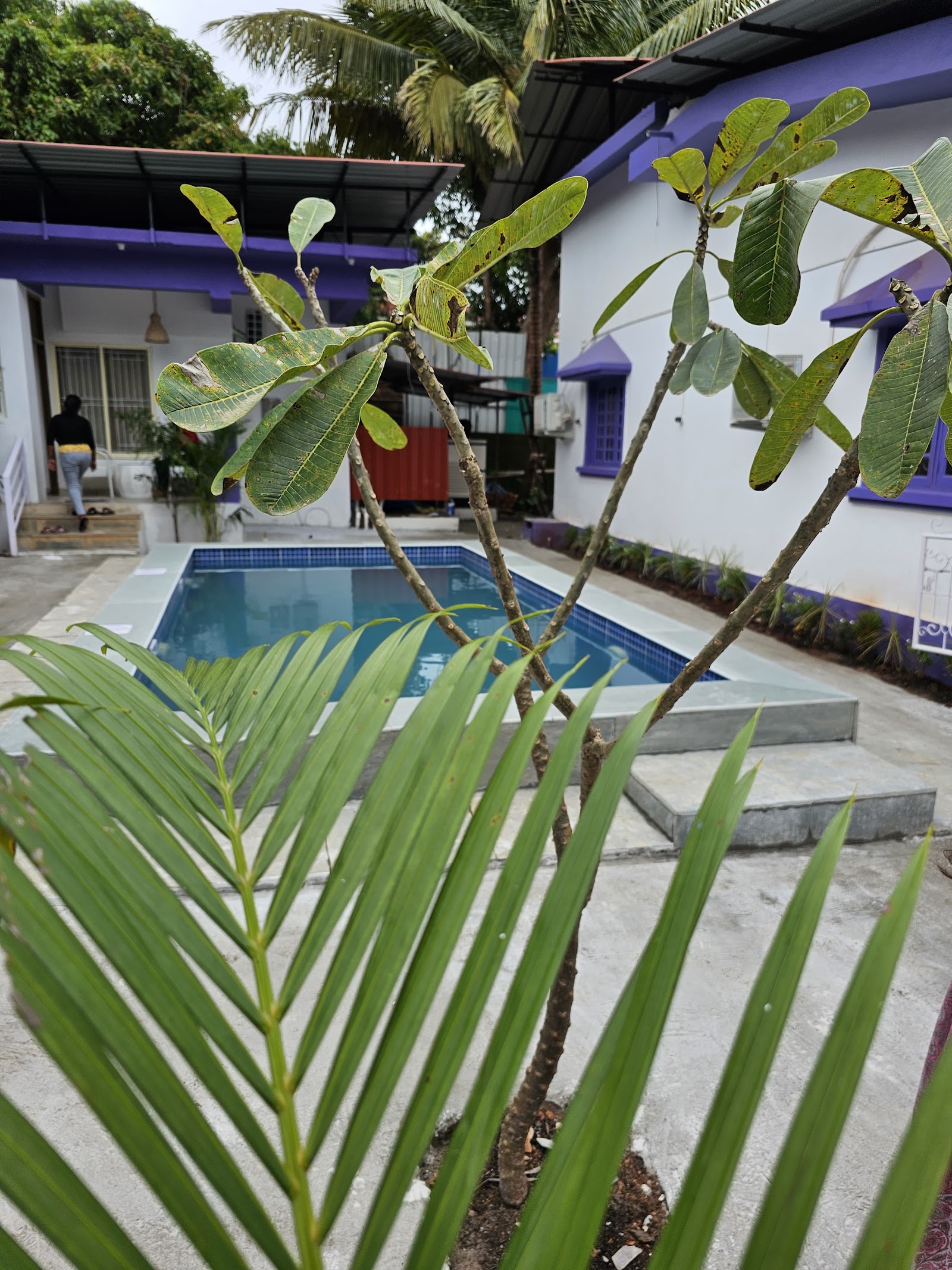 Beautiful Private Jacuzzi Villa Anjuna|\nHuge Pool 7