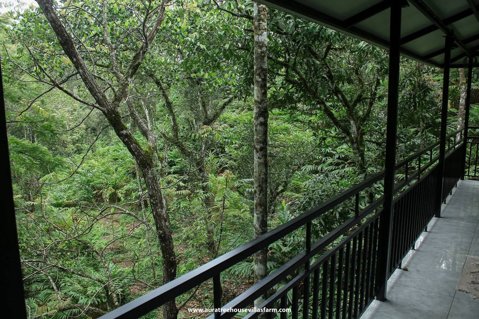 Aura Tree House Villa Farm 1 Bedroom 26